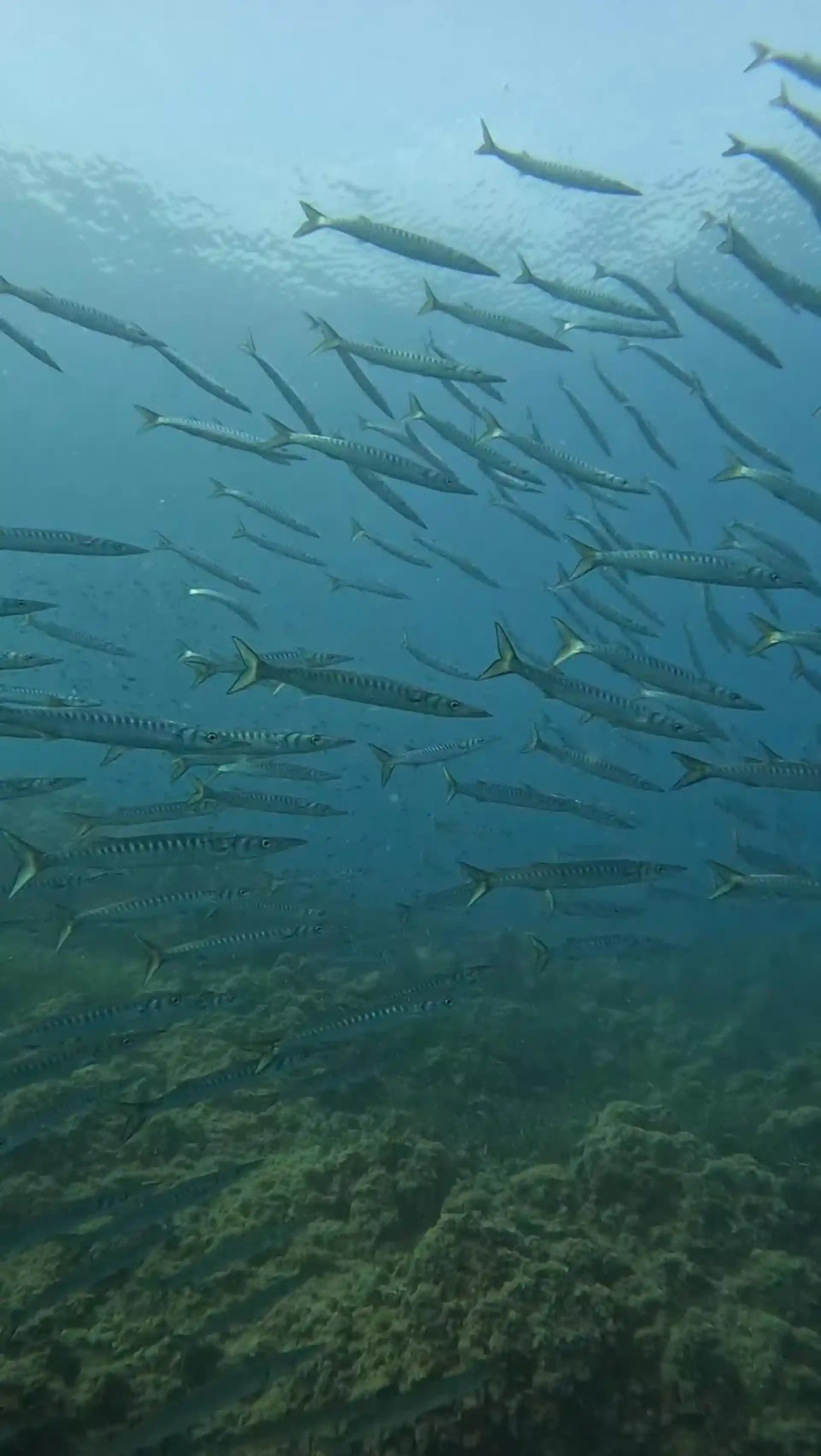 Dive site photo