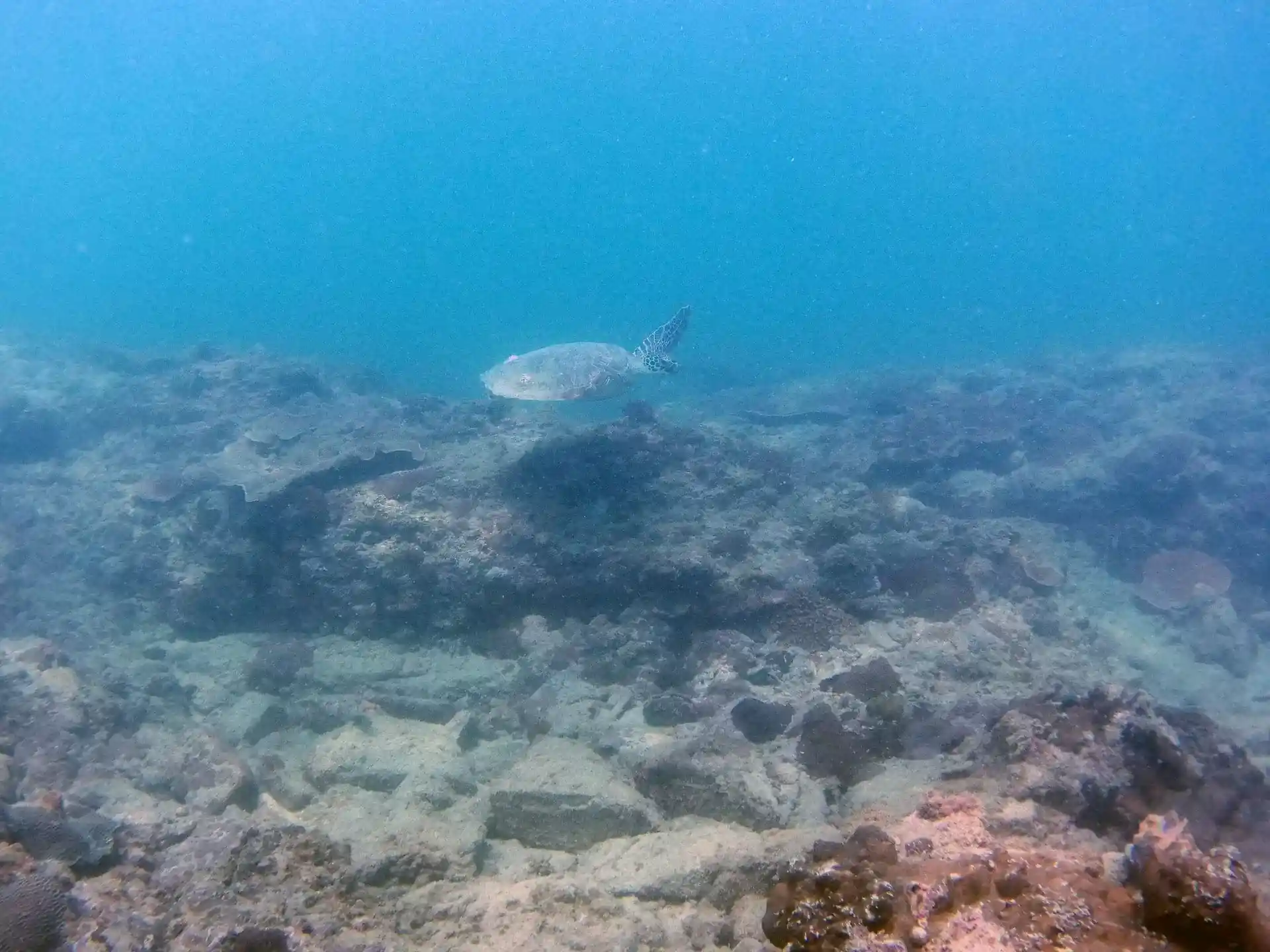 Photo du site de plongée