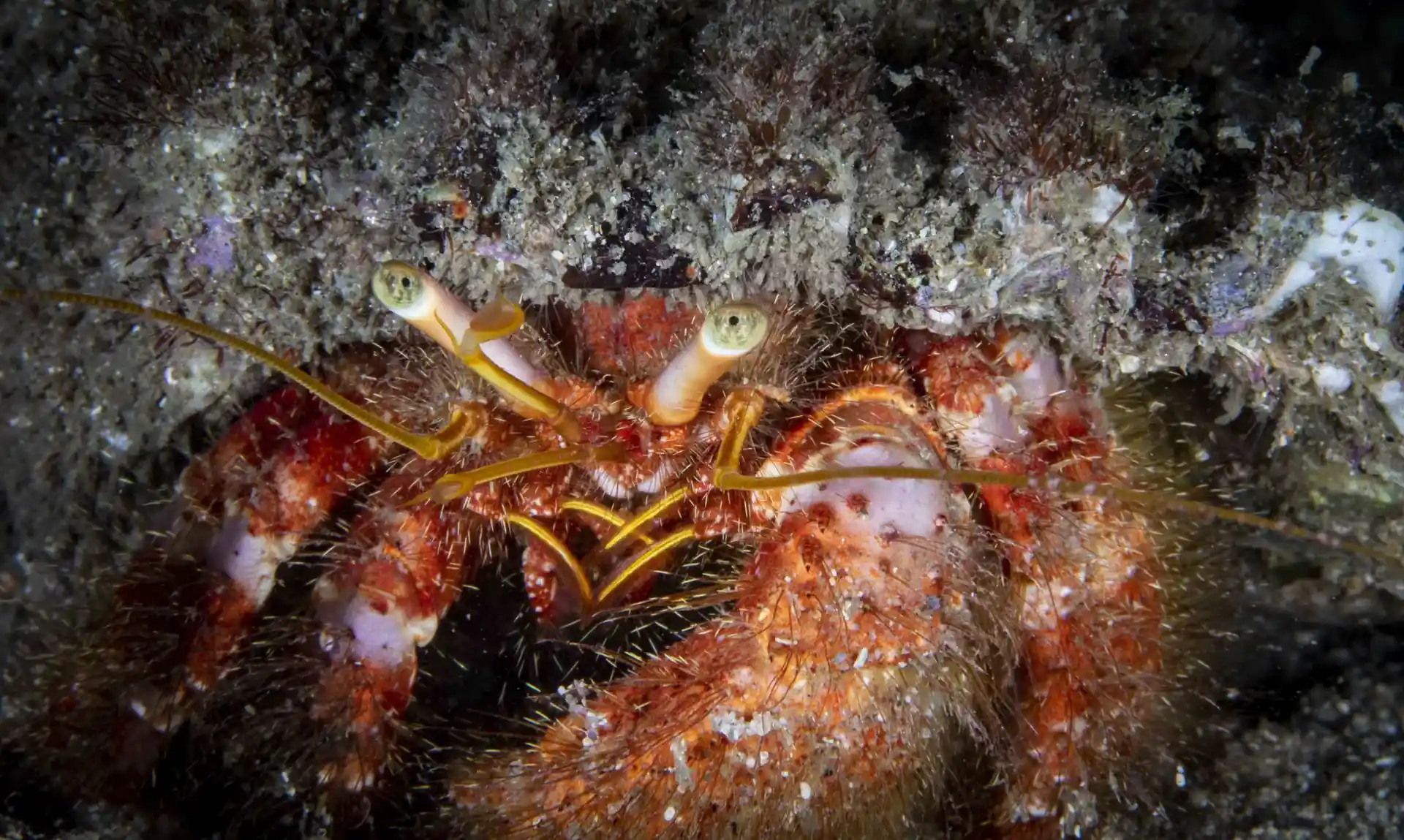 Dive site photo