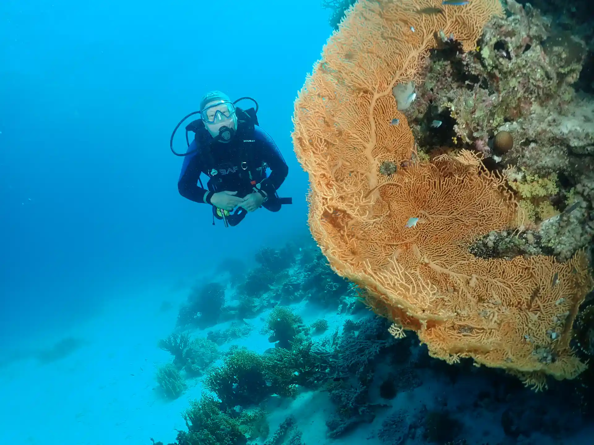 Dive shop photo