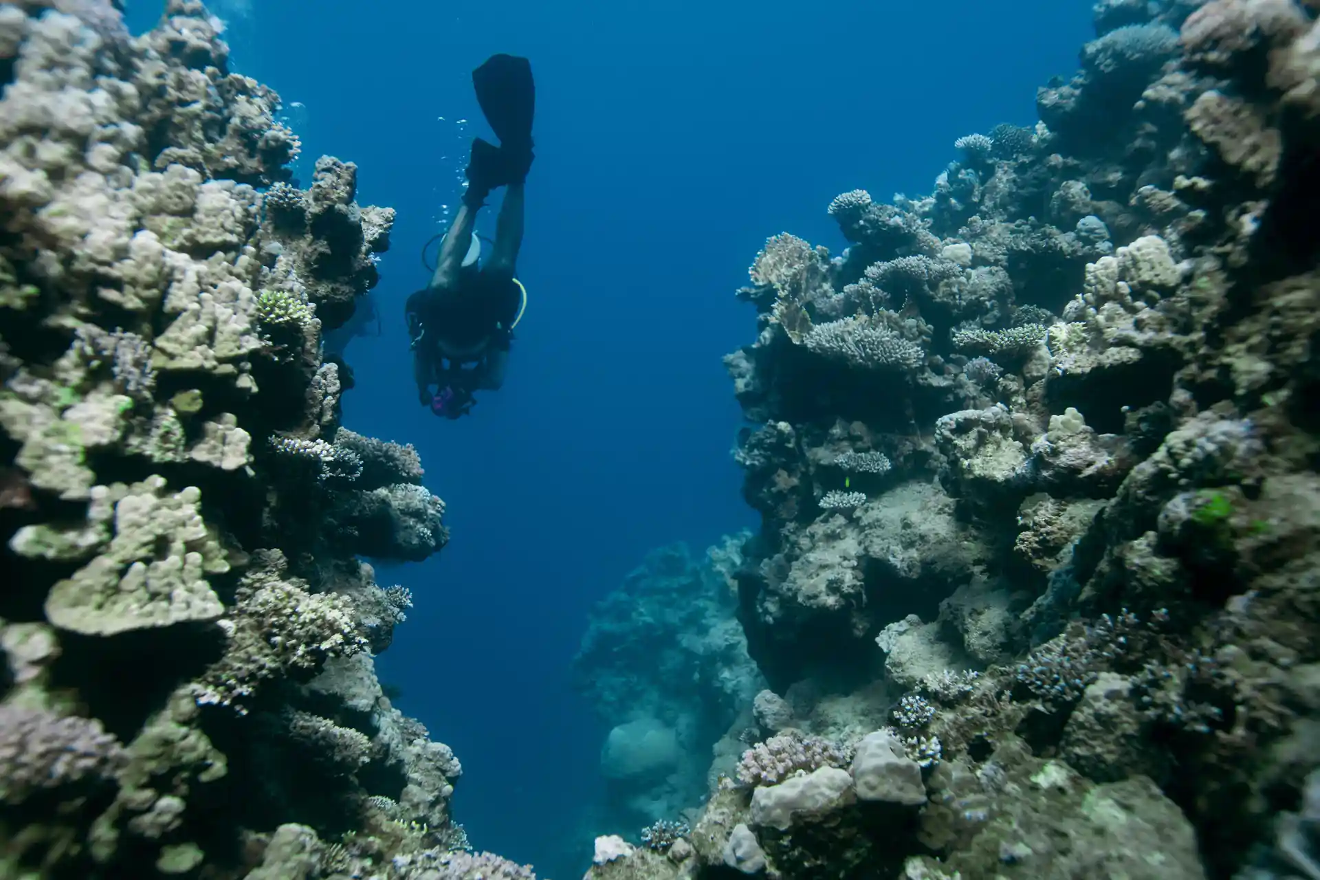 Photo de l'activité