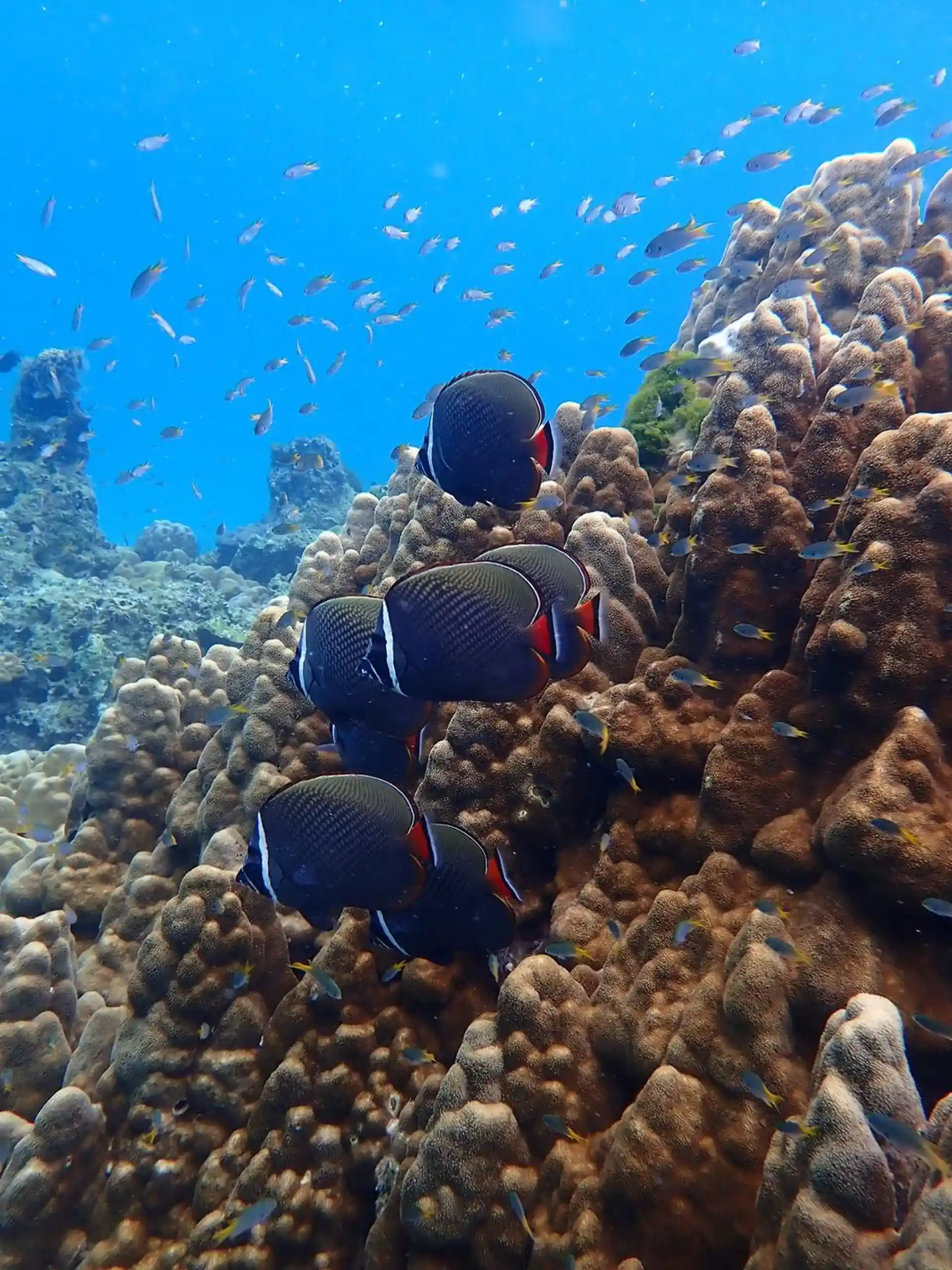 Foto del sitio de buceo
