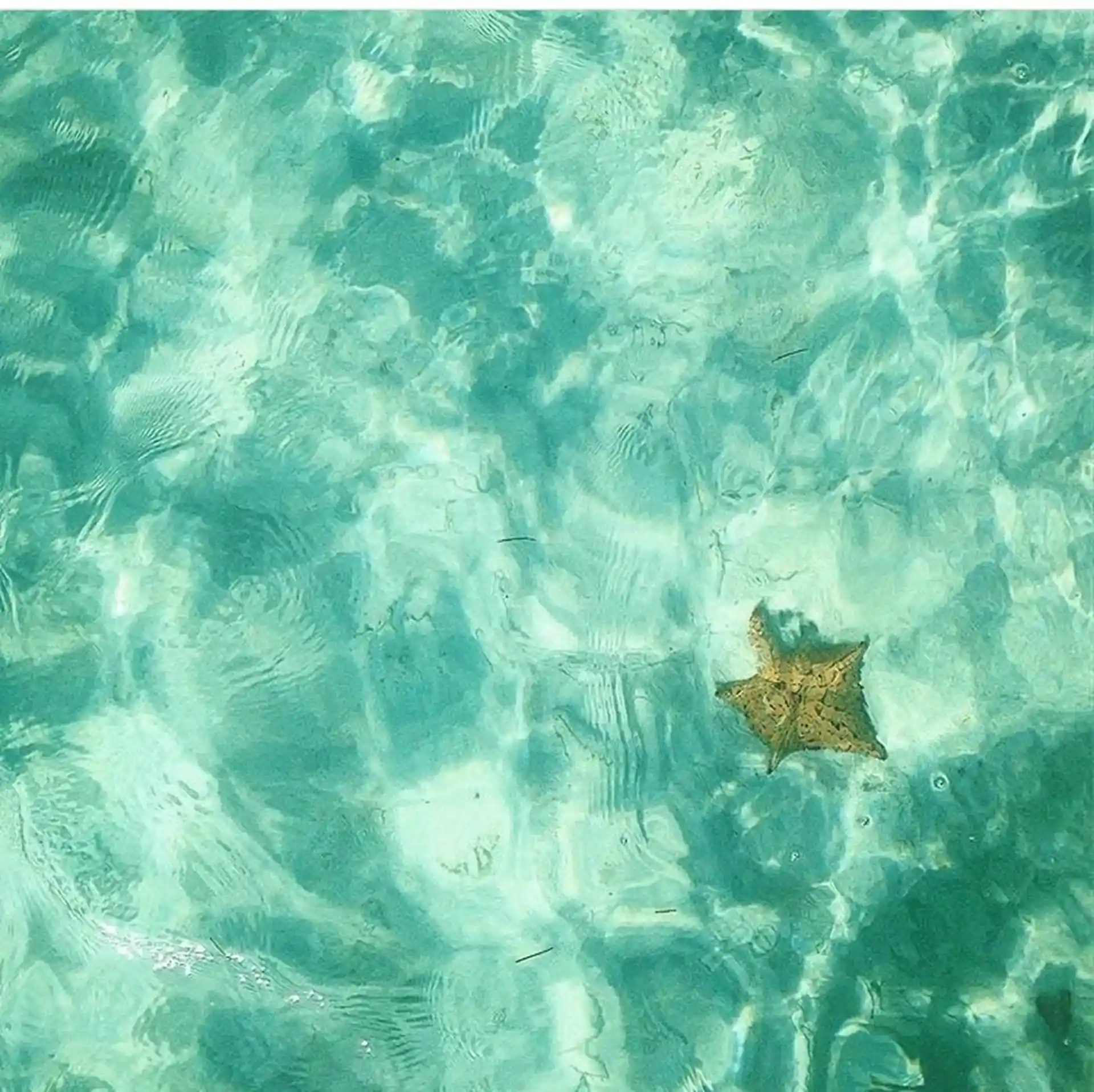 The pillow stars at the Natural Pools