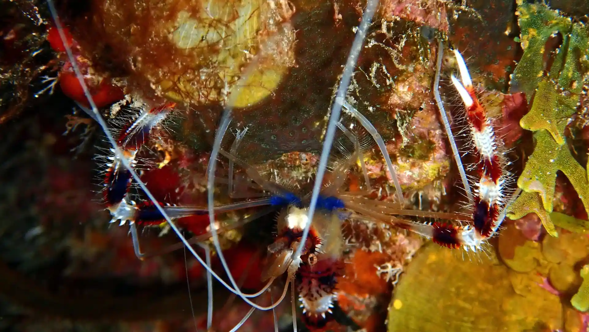 ダイビングサイトの写真