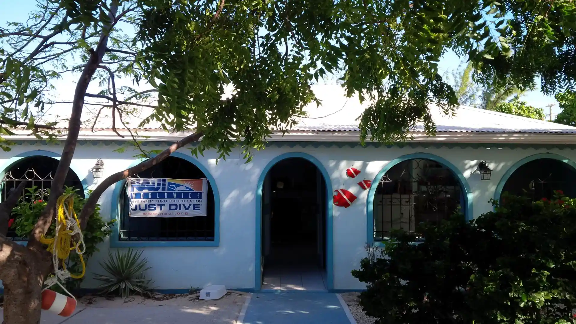 Dive shop photo