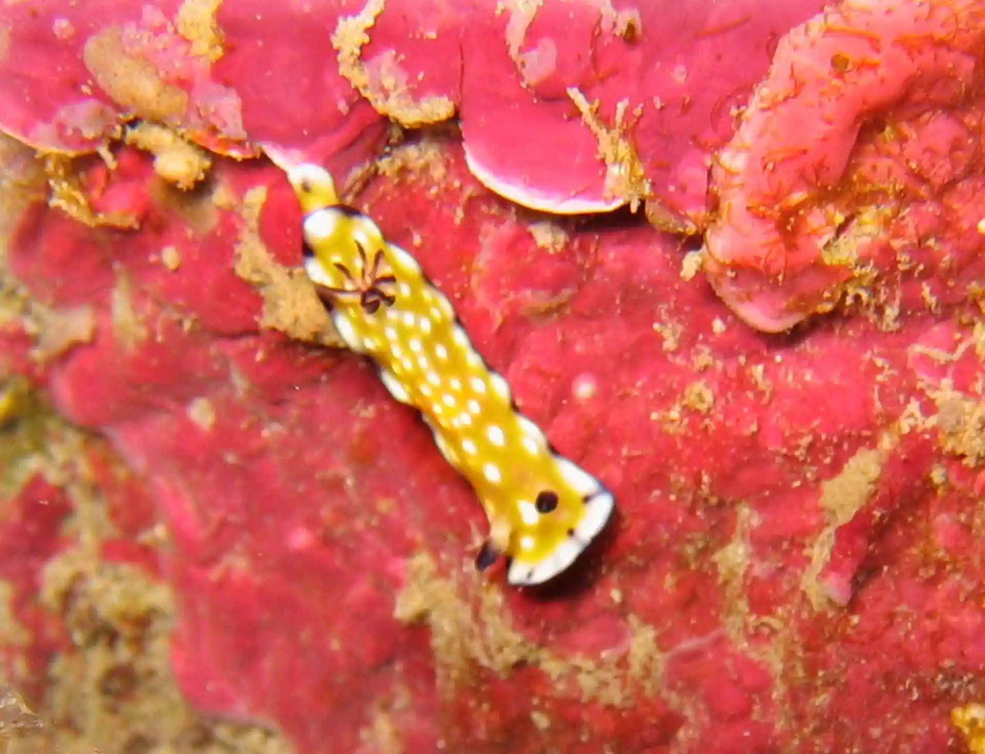Dive site photo