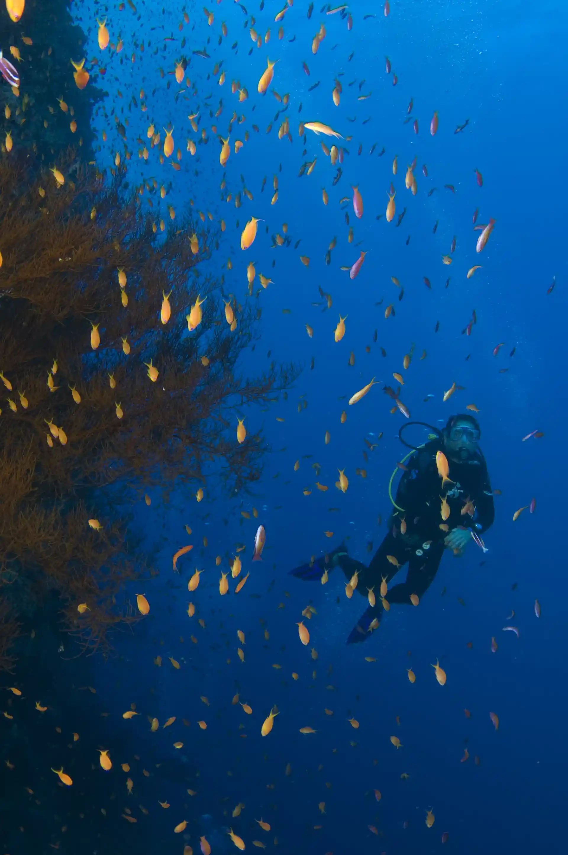 Foto de la actividad