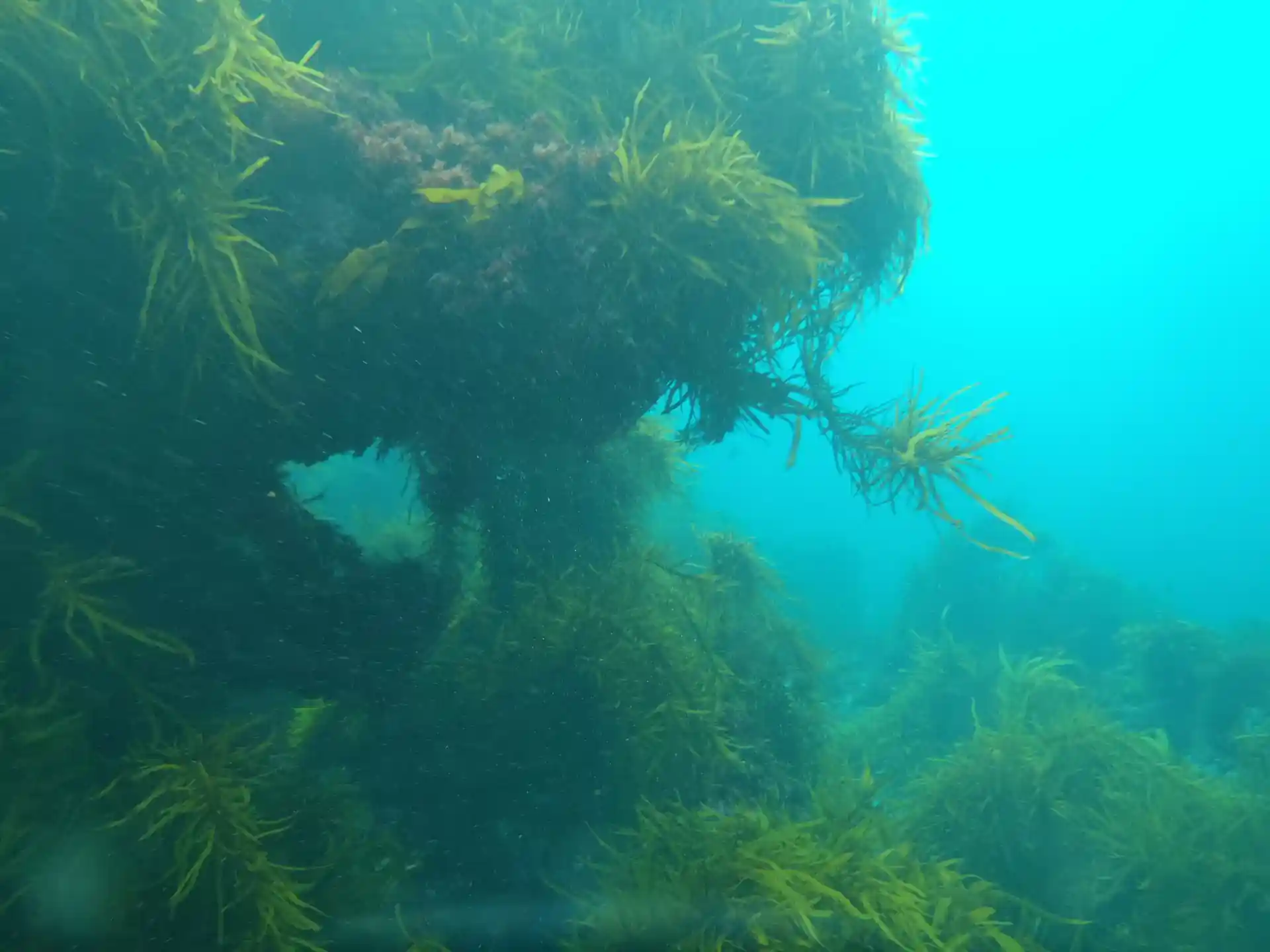 다이빙 포인트 사진