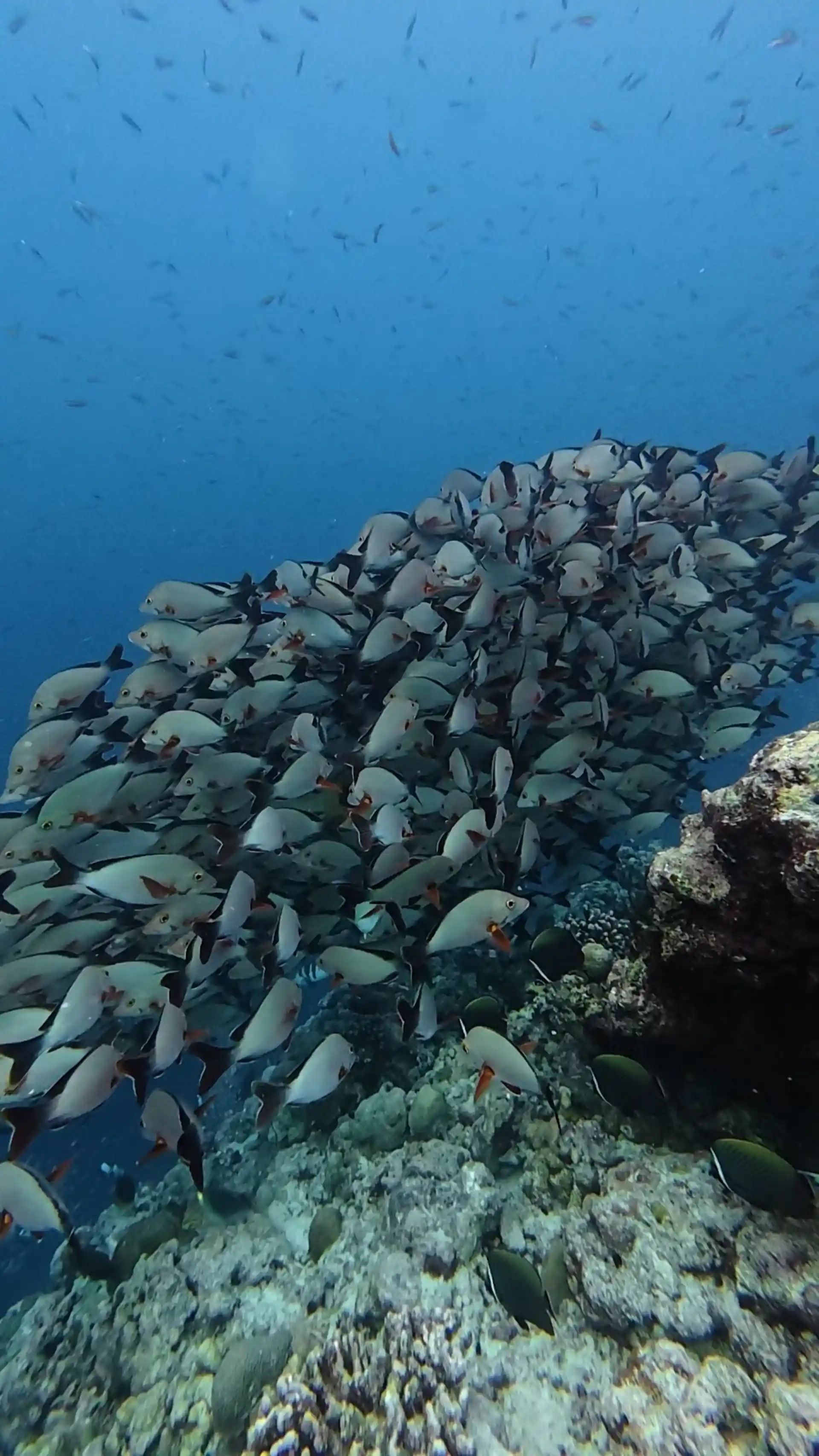 Dive shop photo