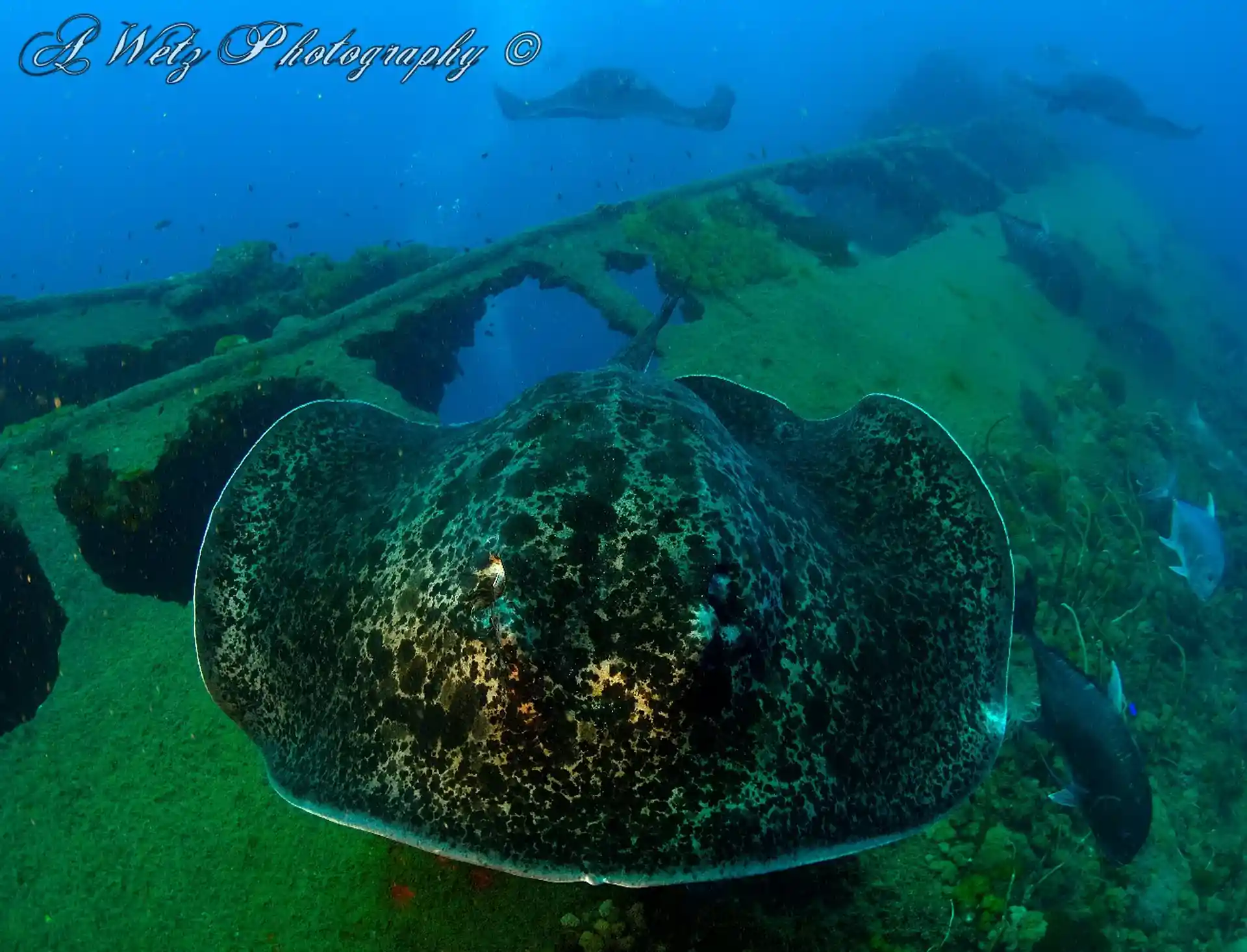 Photo de l'activité