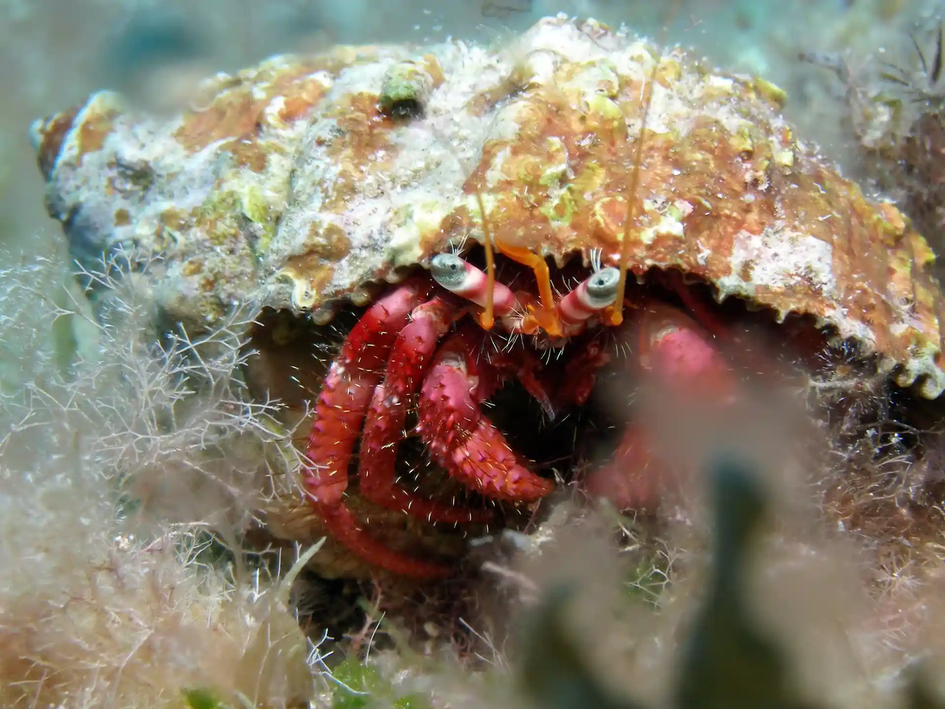 Photo du site de plongée