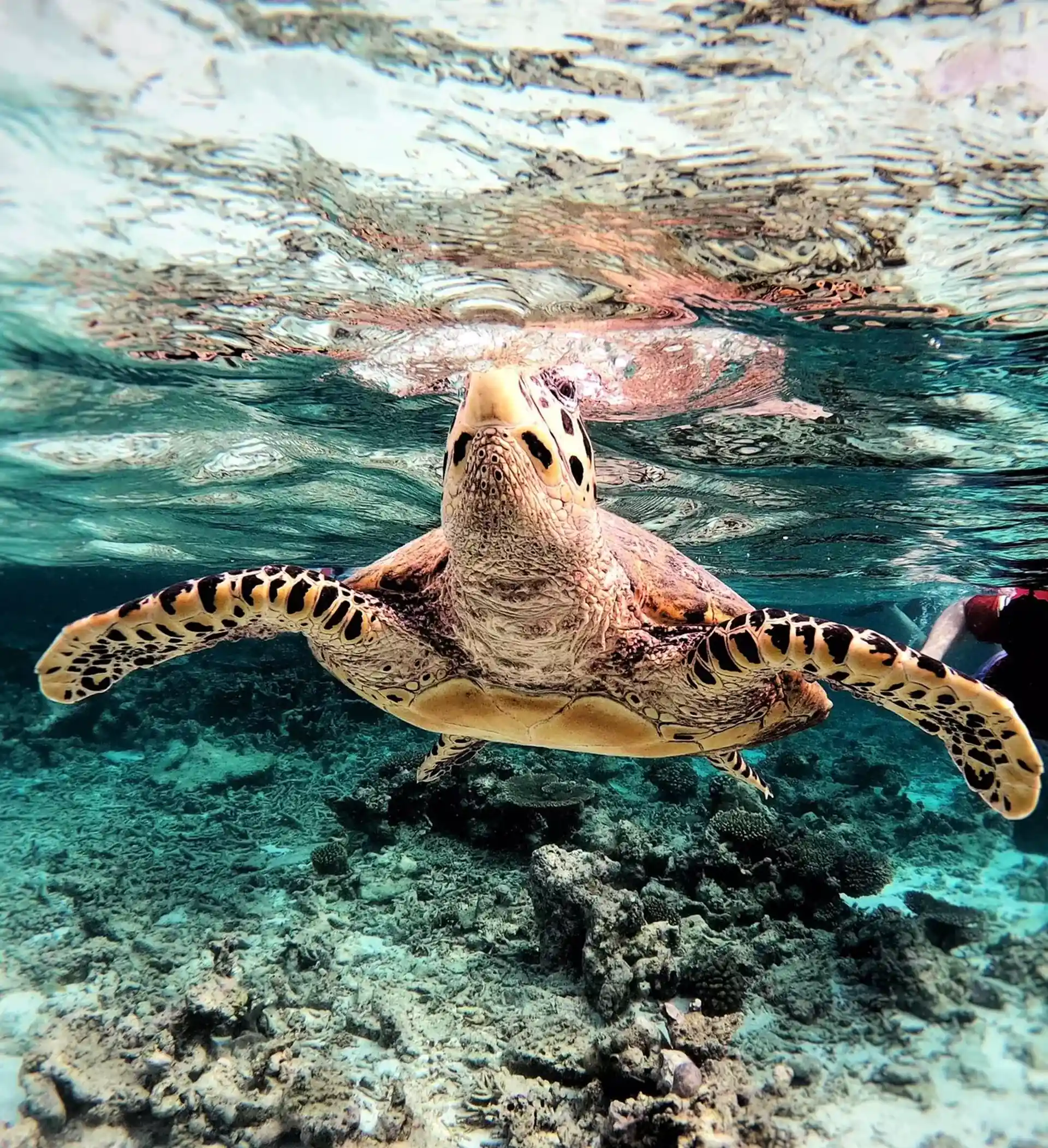 Photo du site de plongée