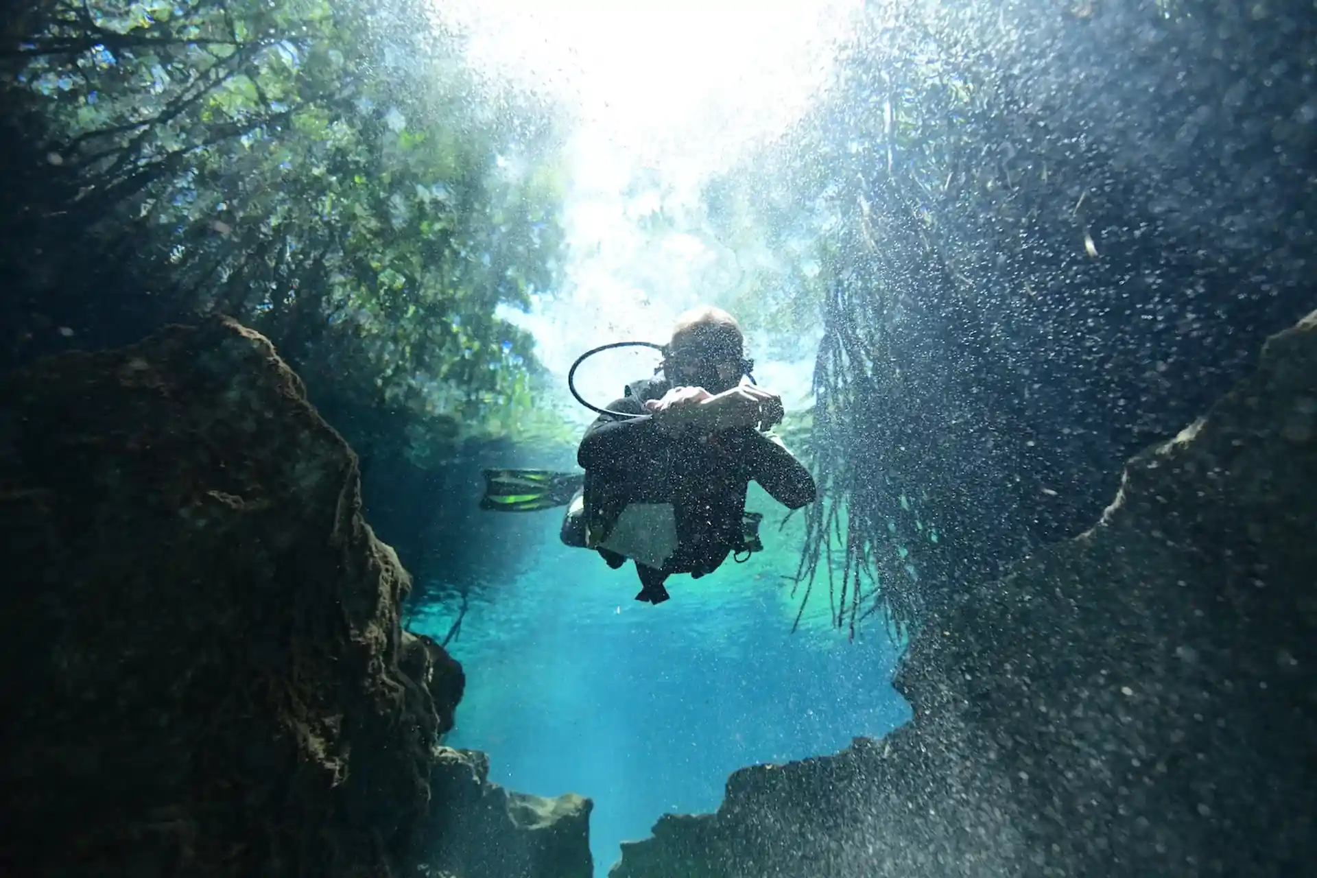 Dive site photo