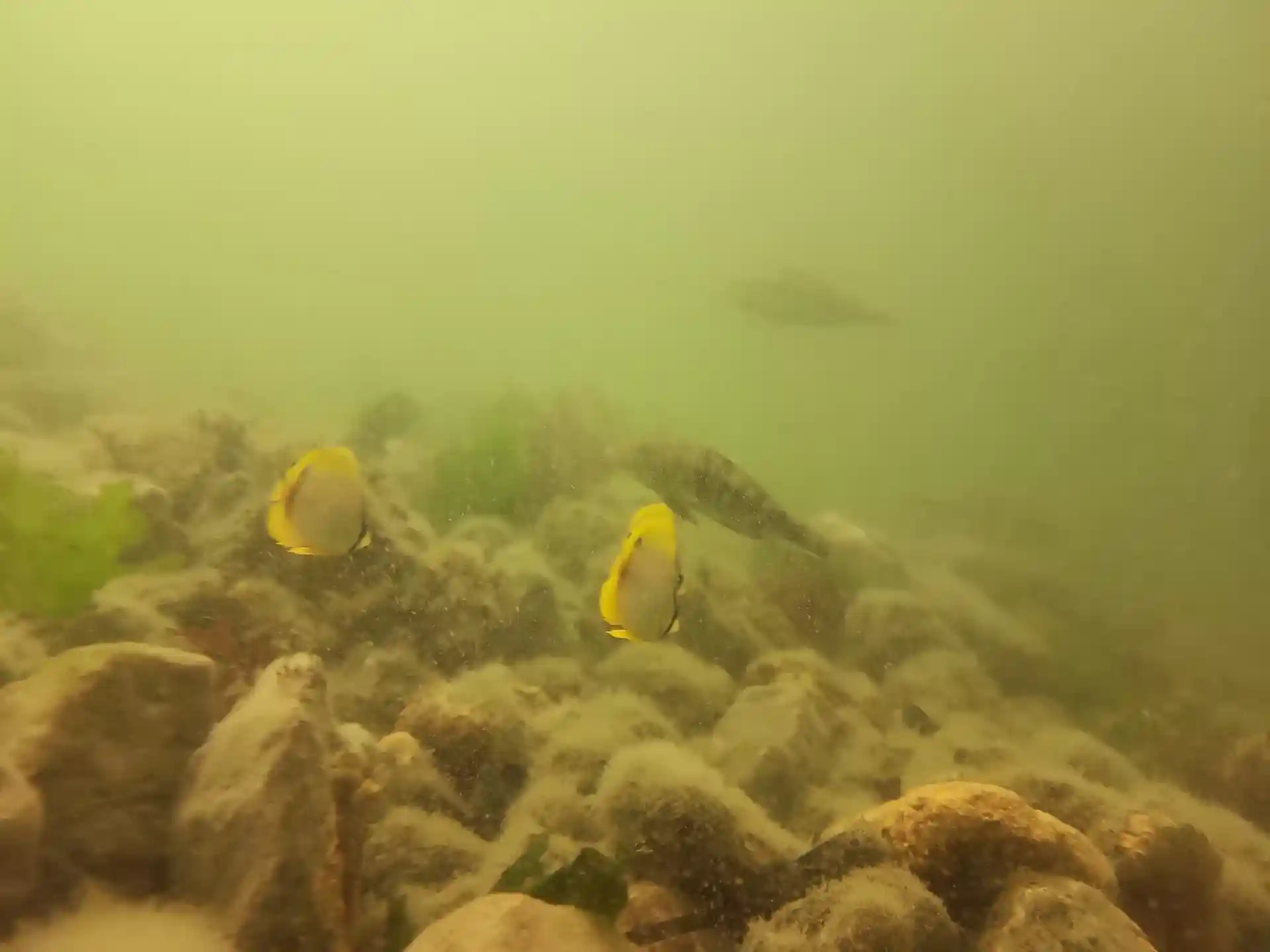 Dive site photo