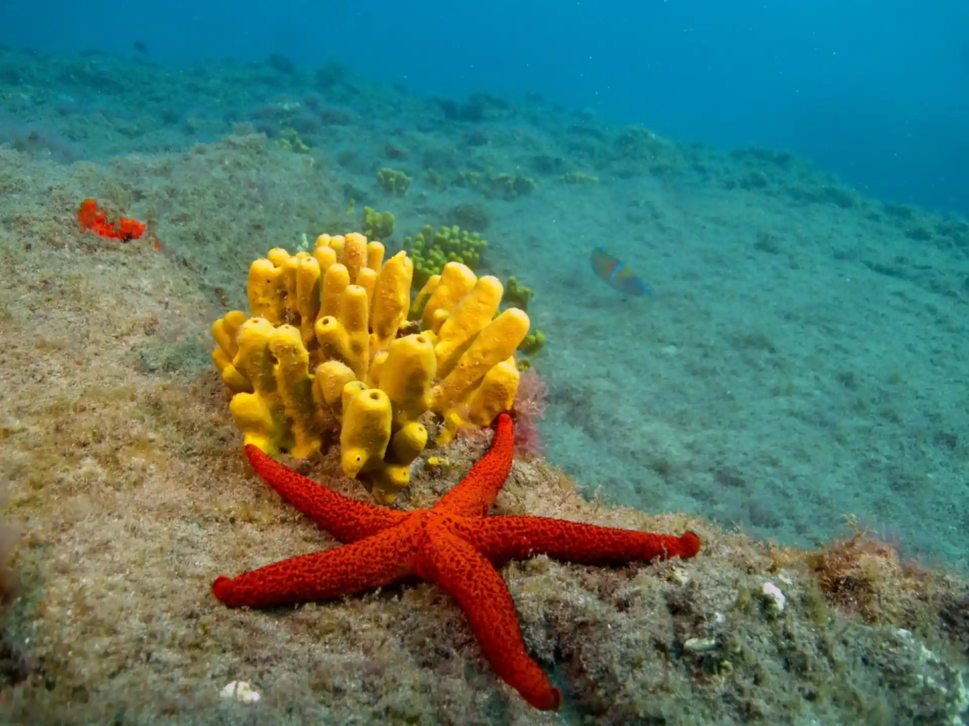 Foto des Tauchplatzes