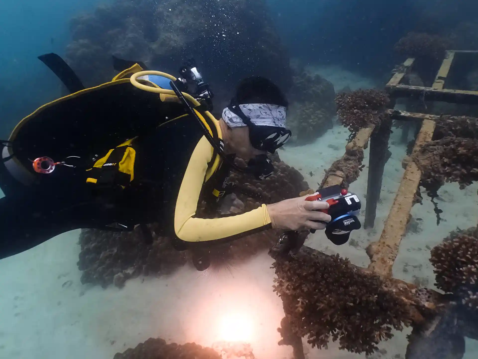Underwater Photograph might be what your looking for.