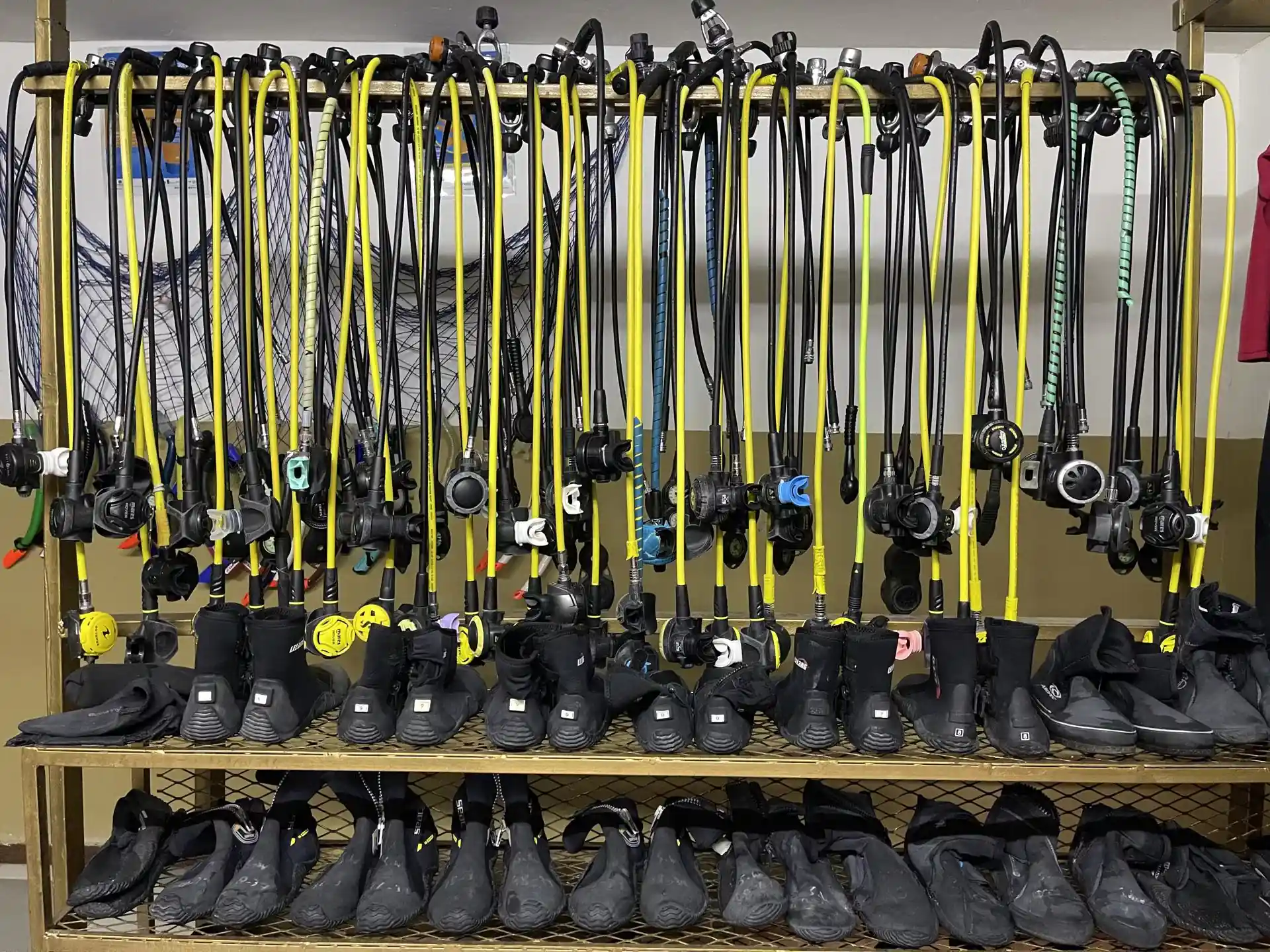 Well-maintained, professional SCUBA regulators available with both DIN and Yoke connections.