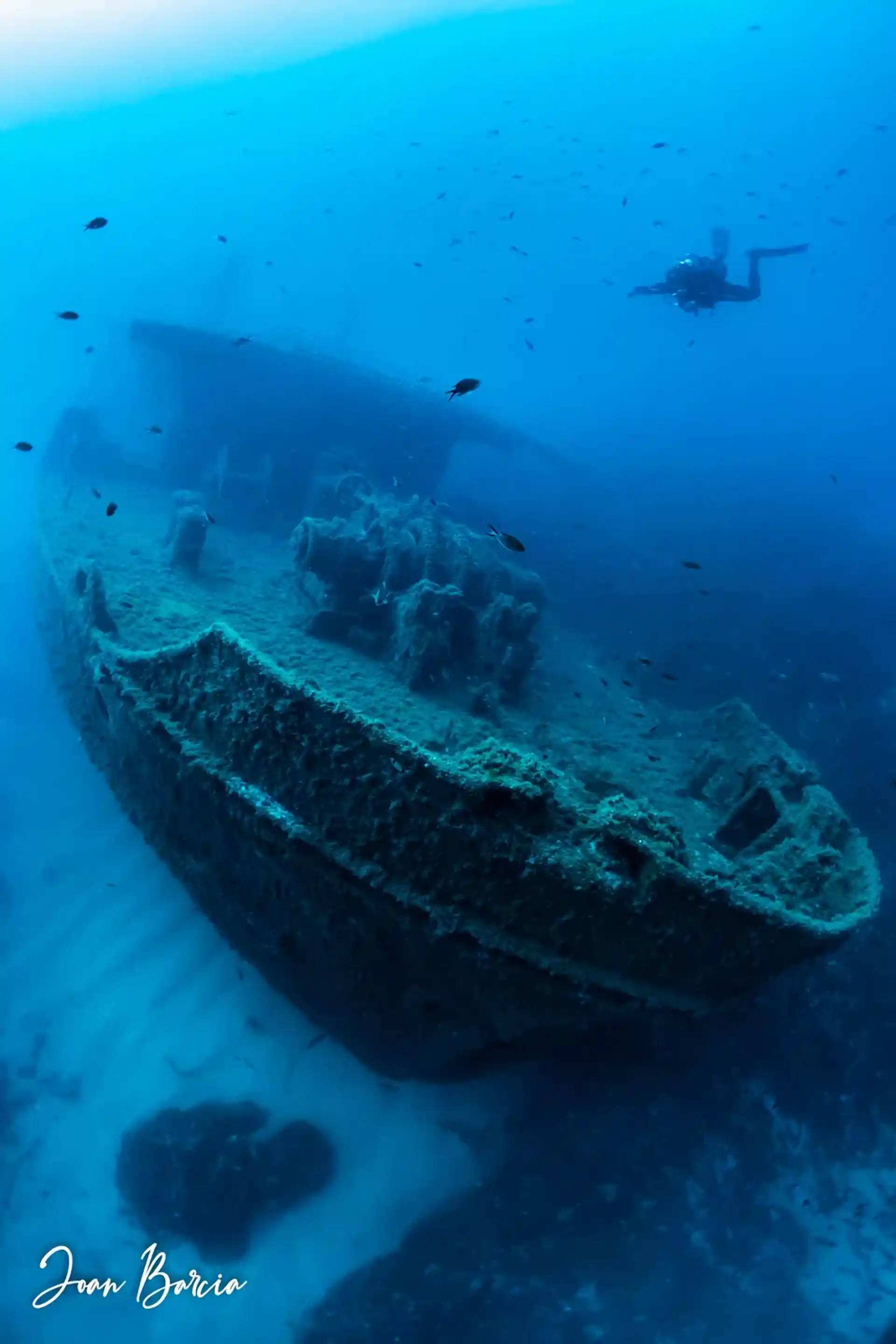 Dive site photo