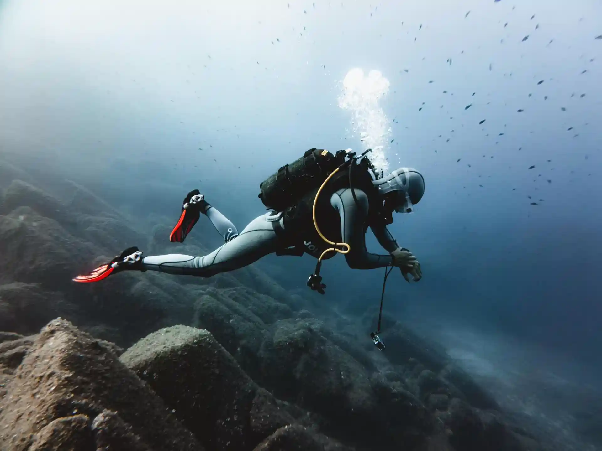 Dive shop photo