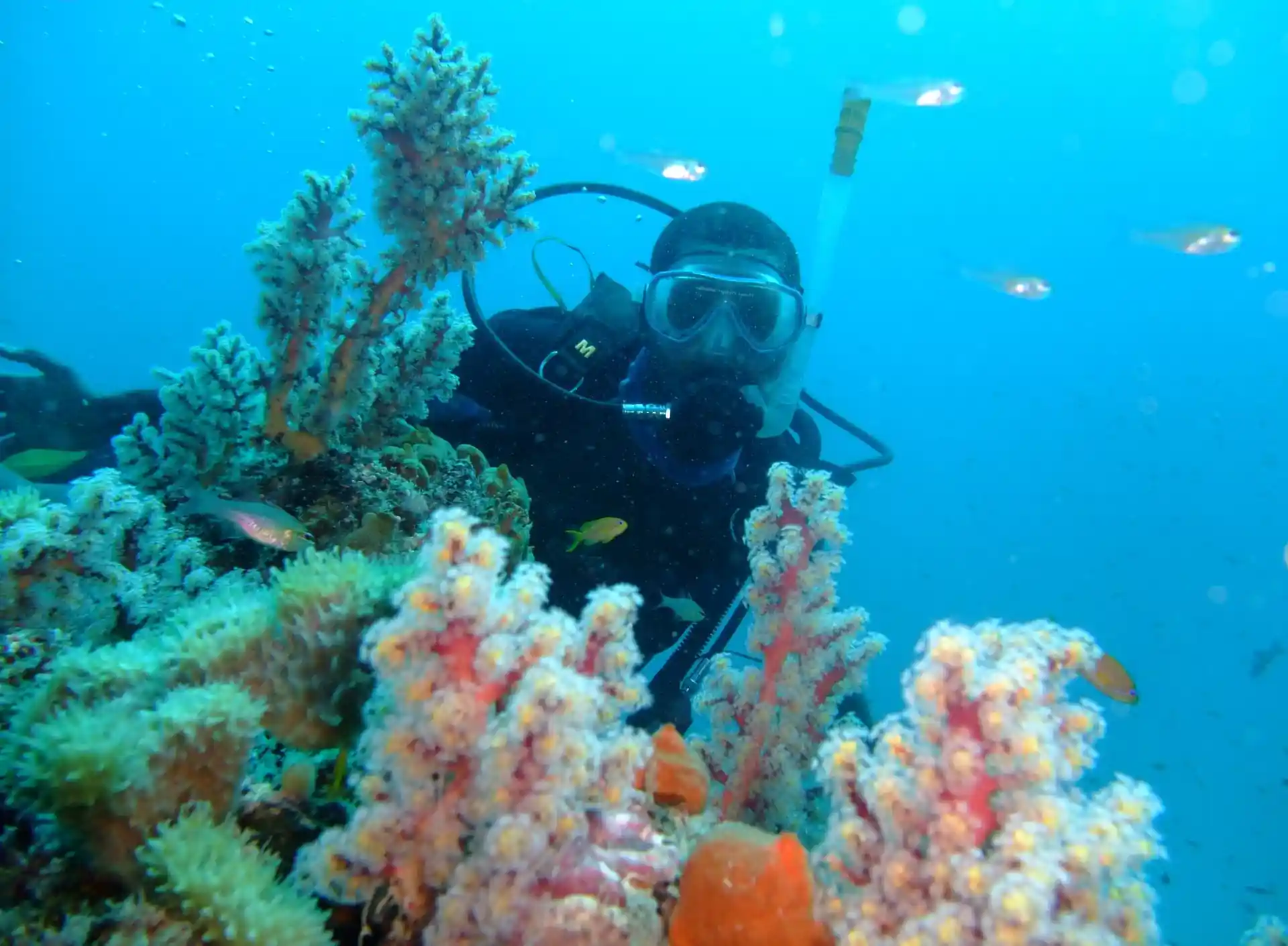 Dive site photo