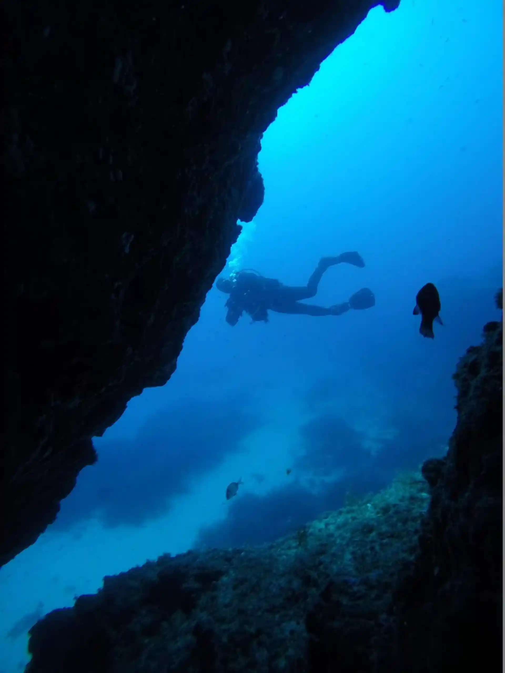 Photo du site de plongée