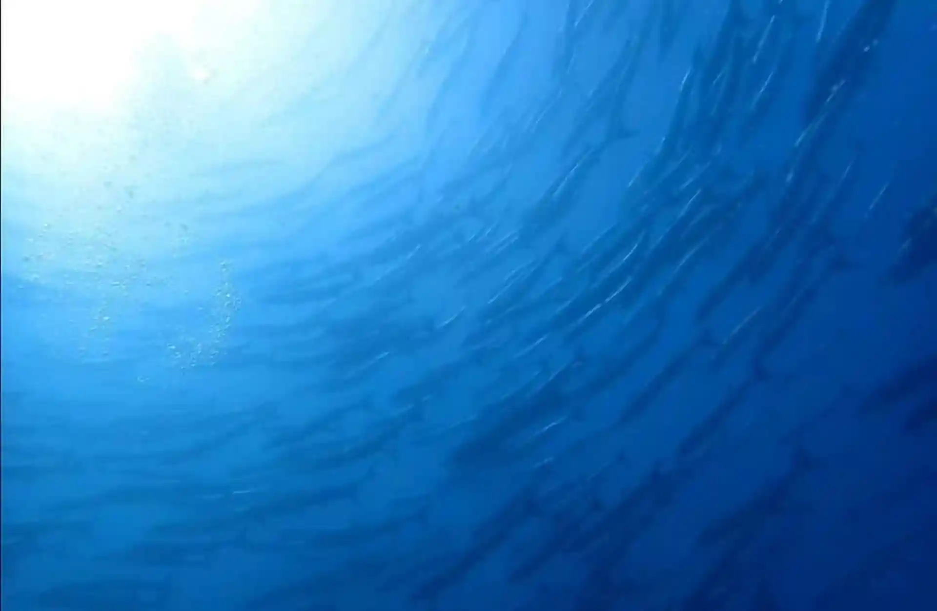 Dive site photo