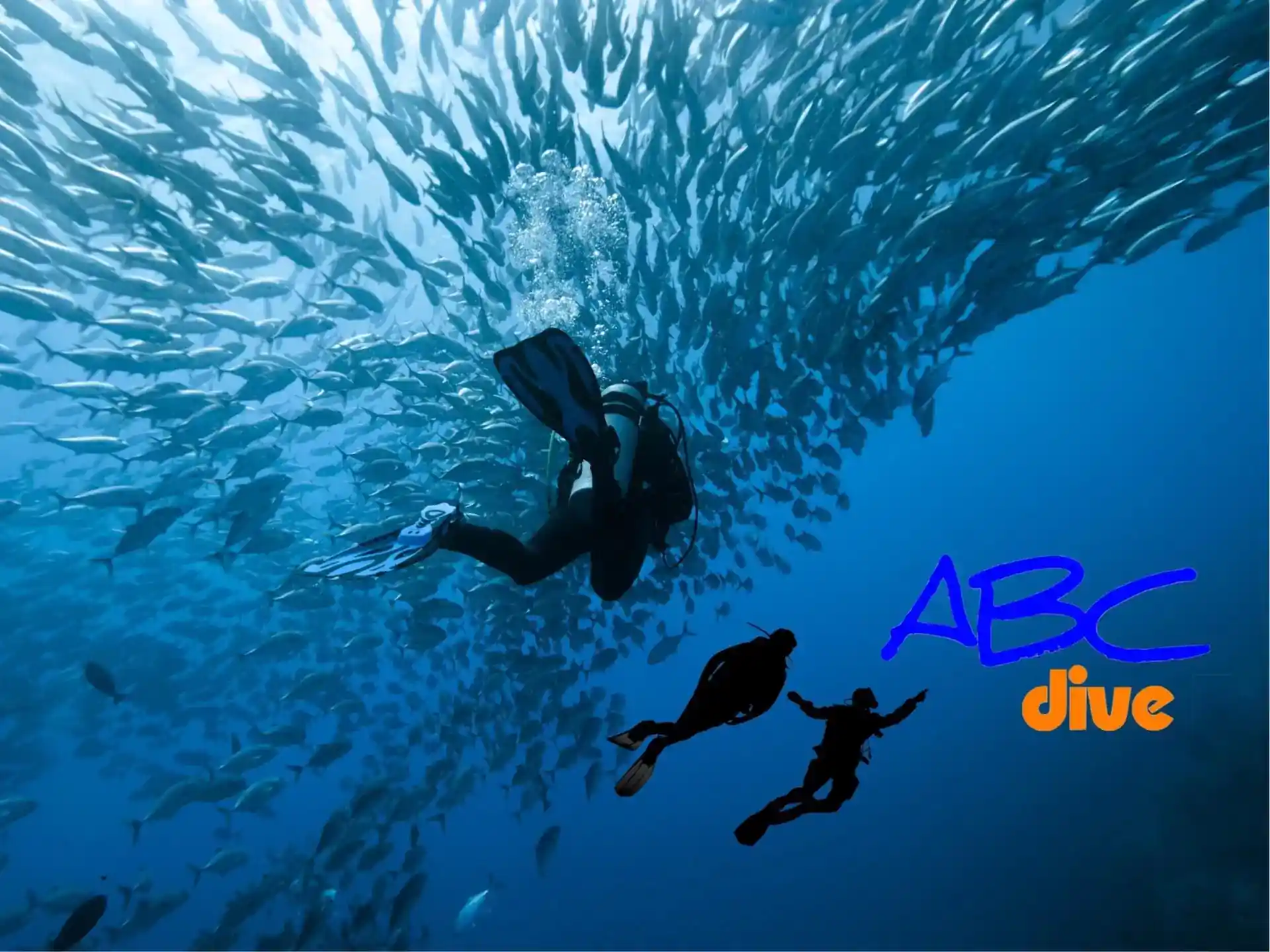 Dive shop photo