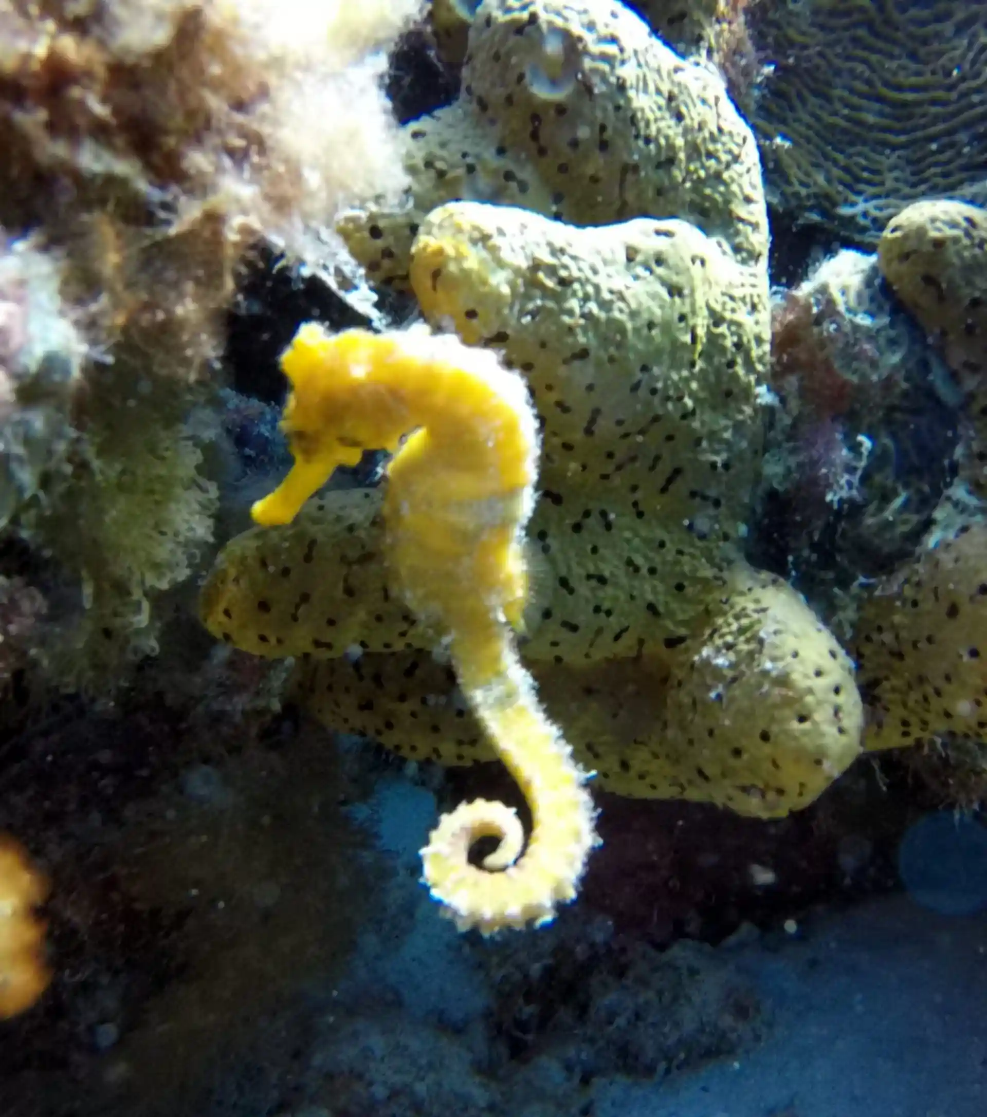 Foto des Tauchplatzes