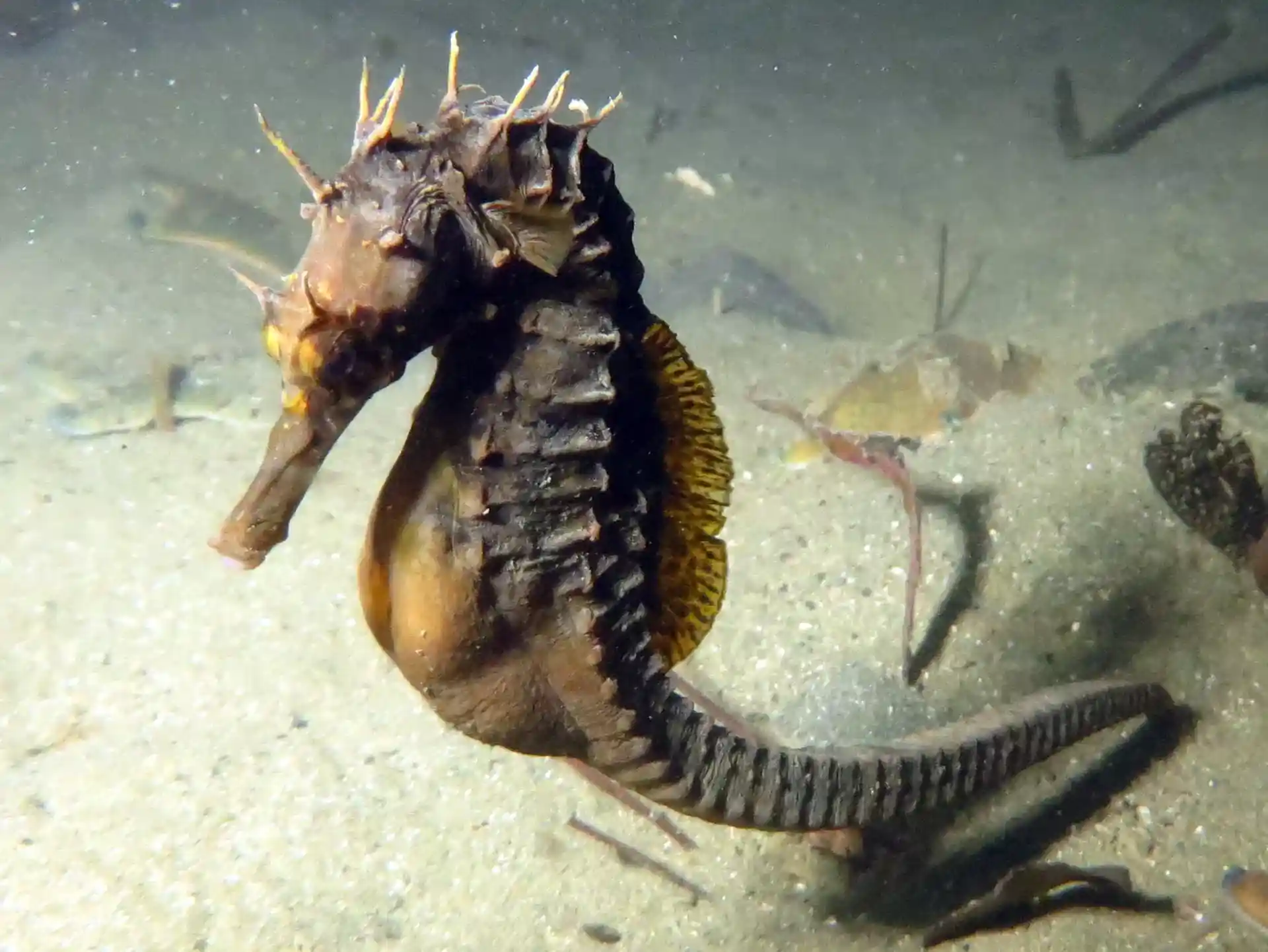 다이빙 포인트 사진