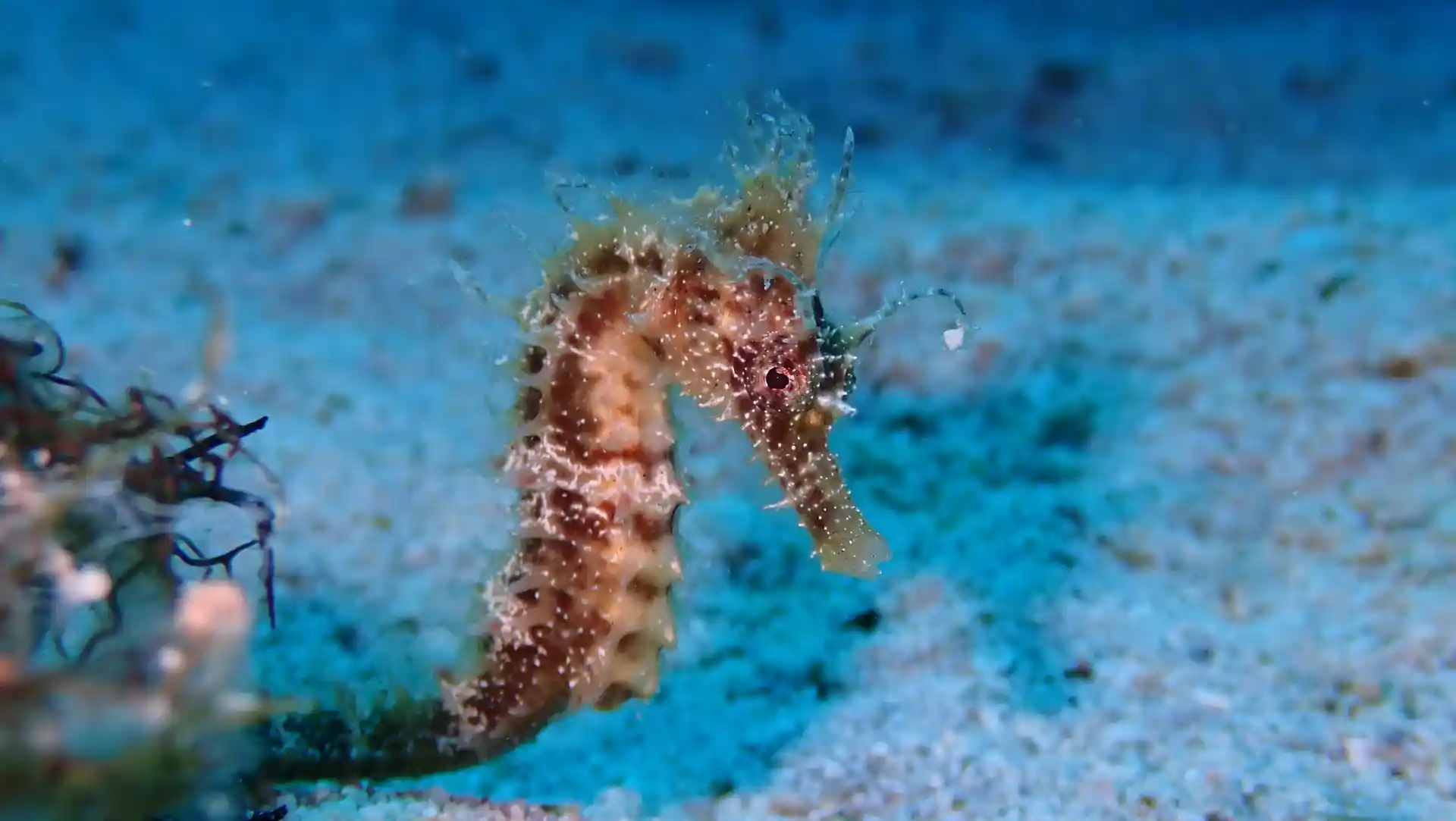 Foto del sitio de buceo