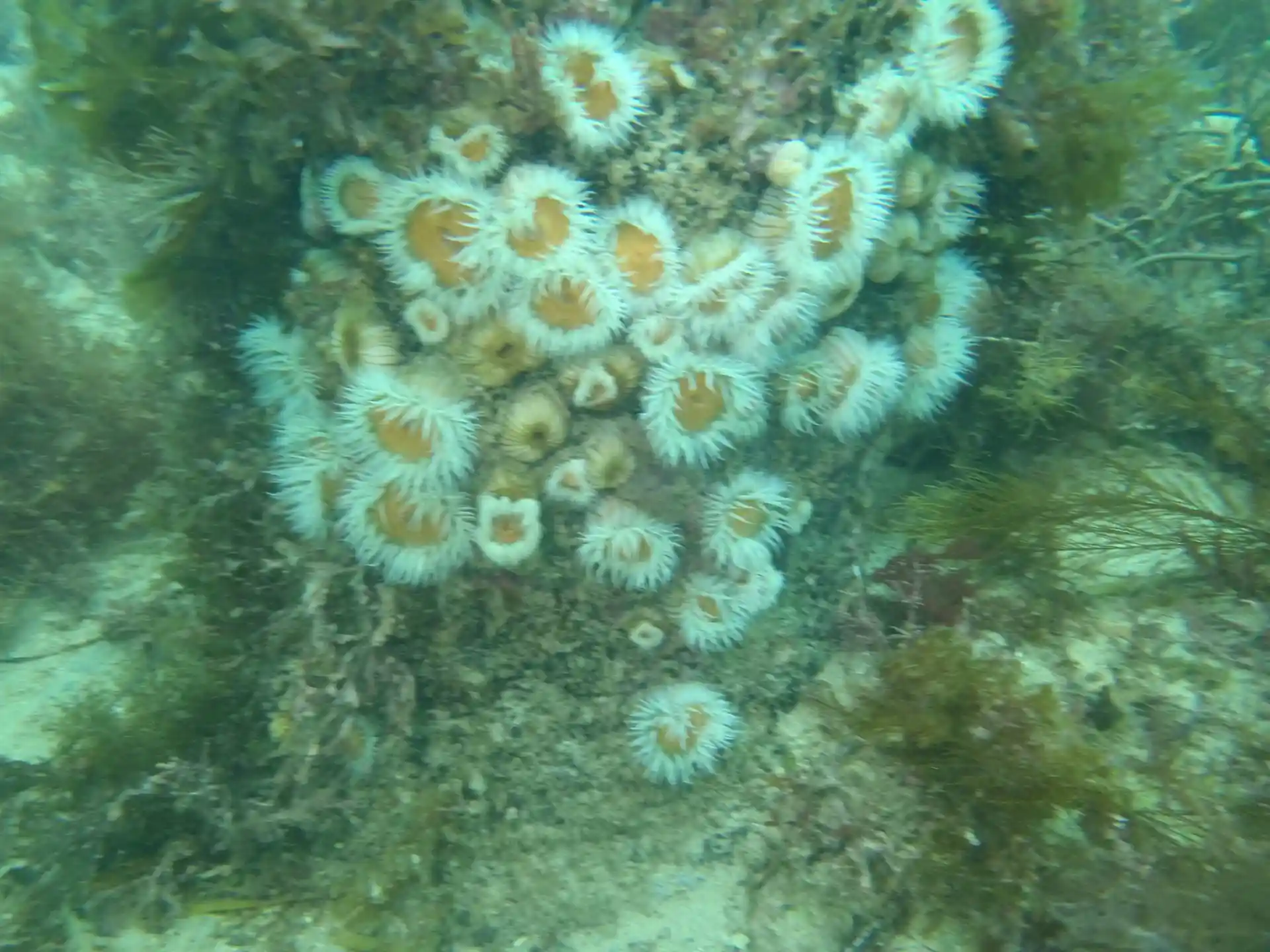 Dive site photo