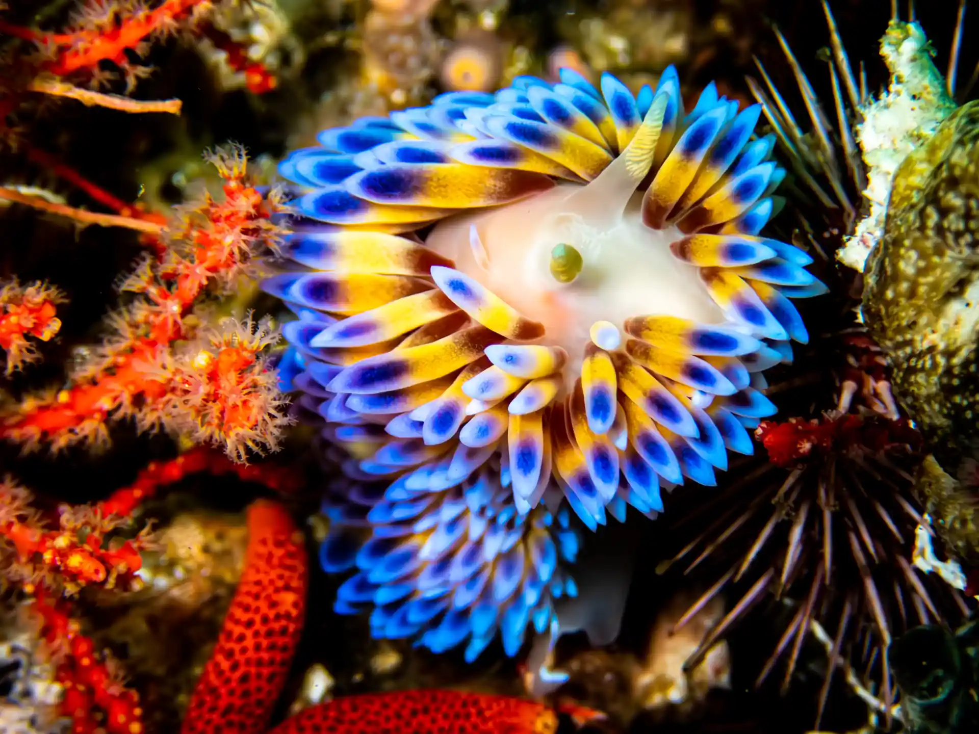 Dive site photo