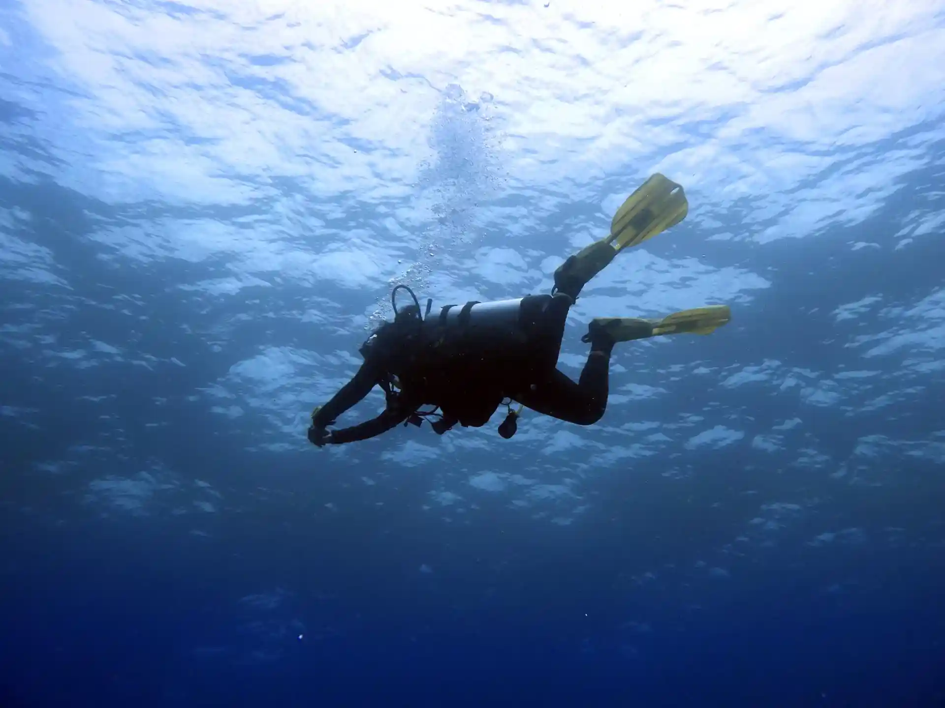 다이빙 포인트 사진