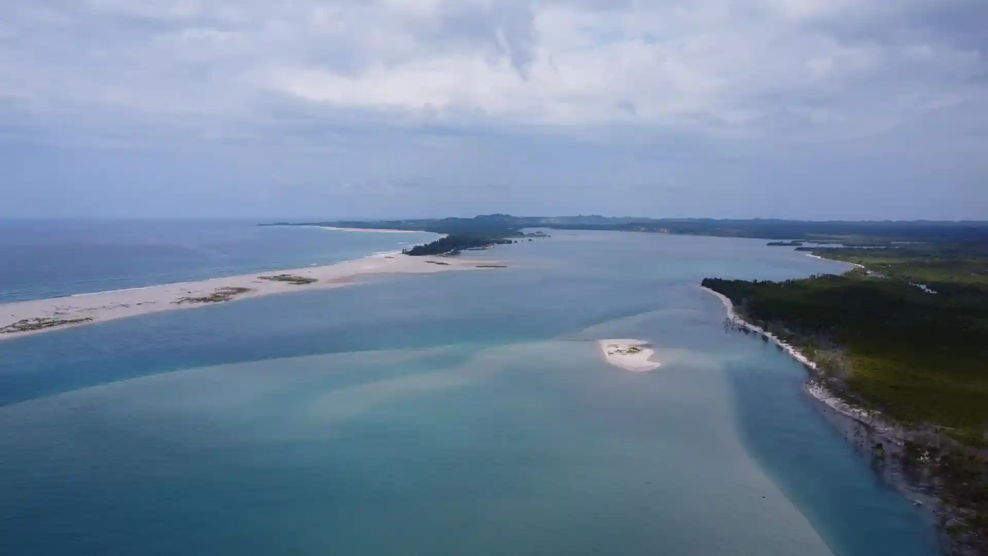Mangrove estuary and Indian ocean