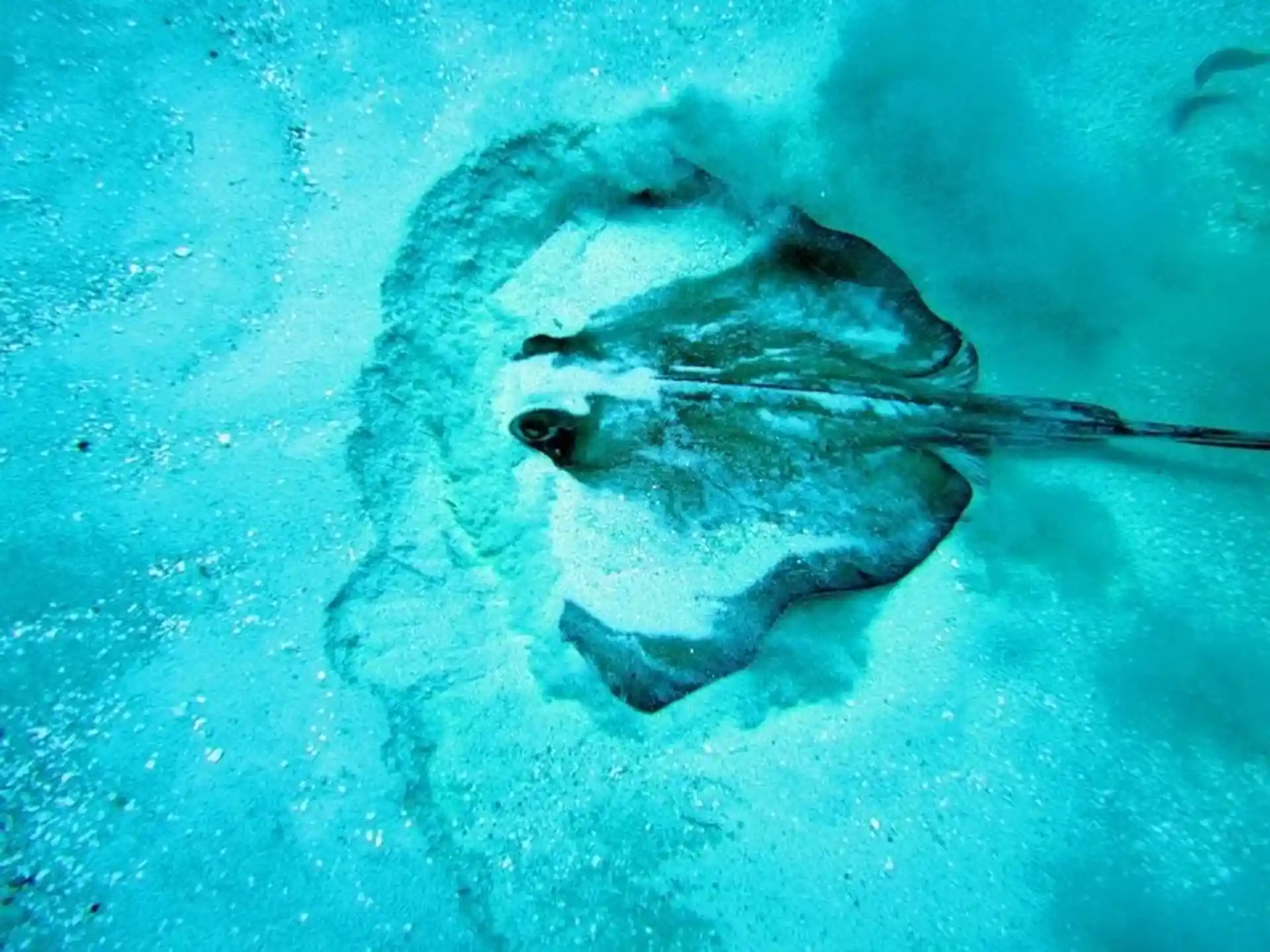 Dive shop photo