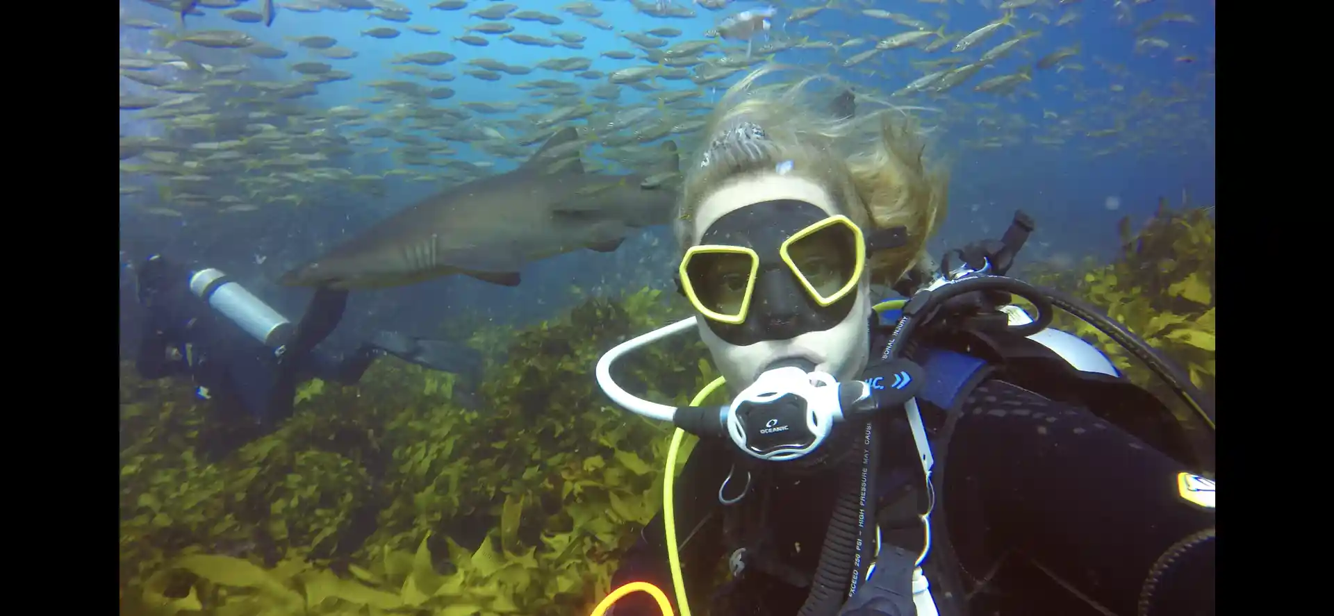 Dive shop photo