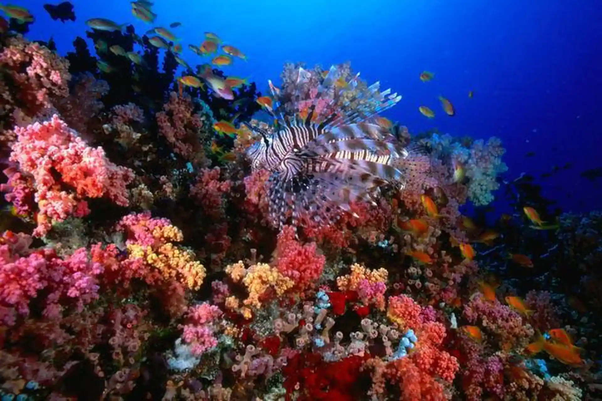 Dive shop photo
