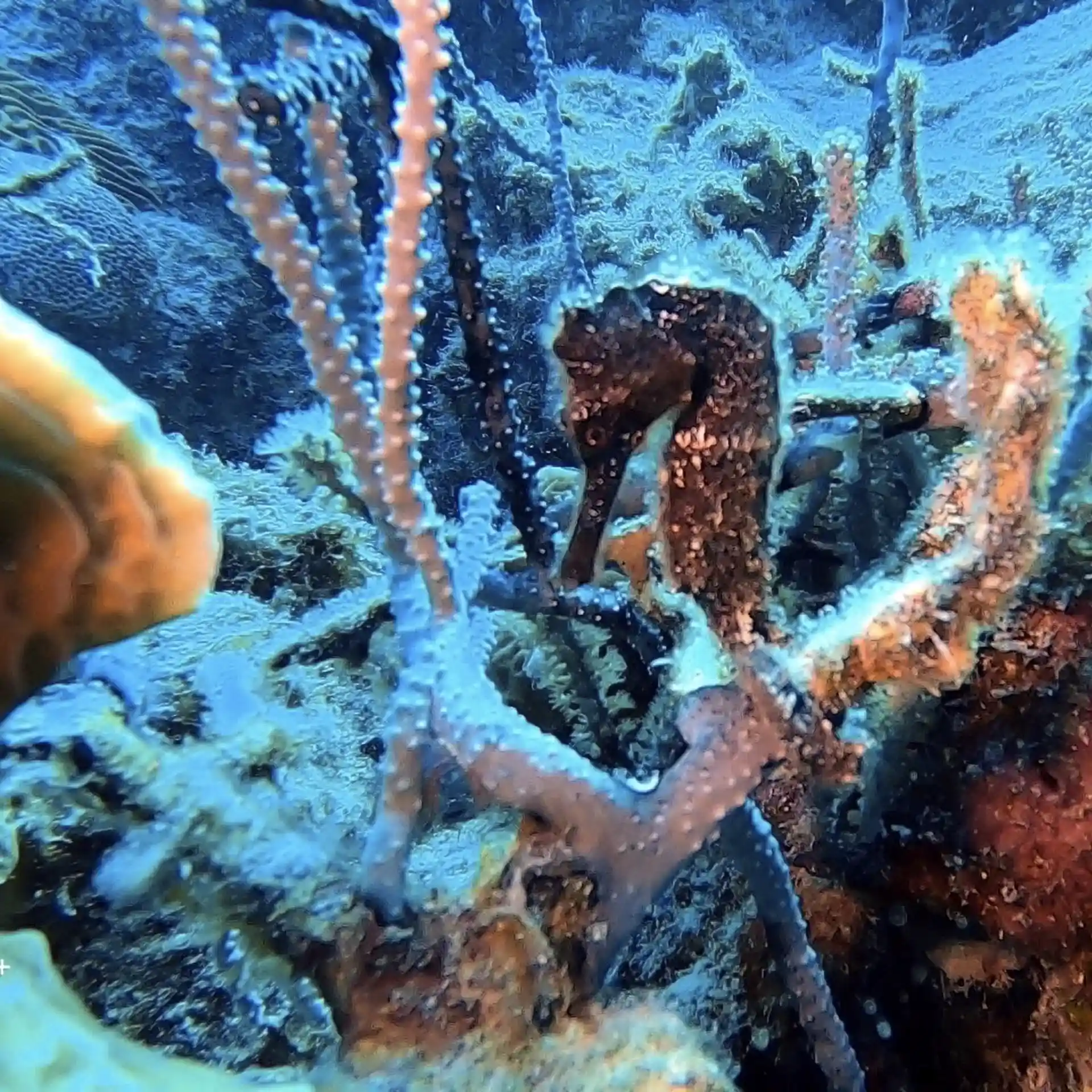Foto del sitio de buceo