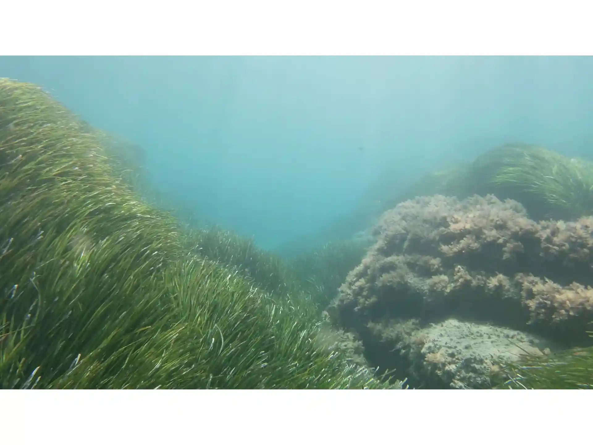 Dive site photo