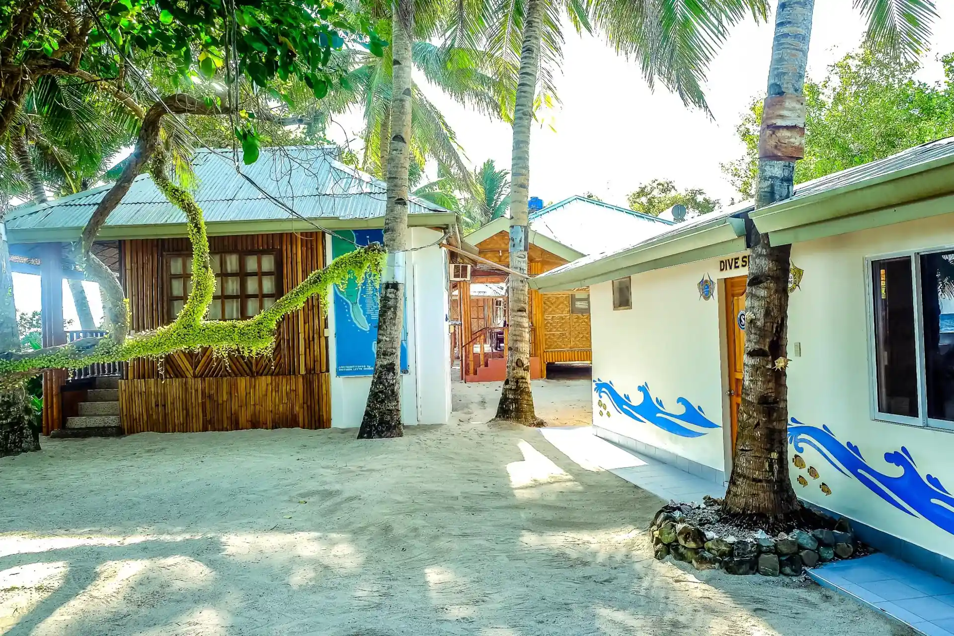 Dive shop photo