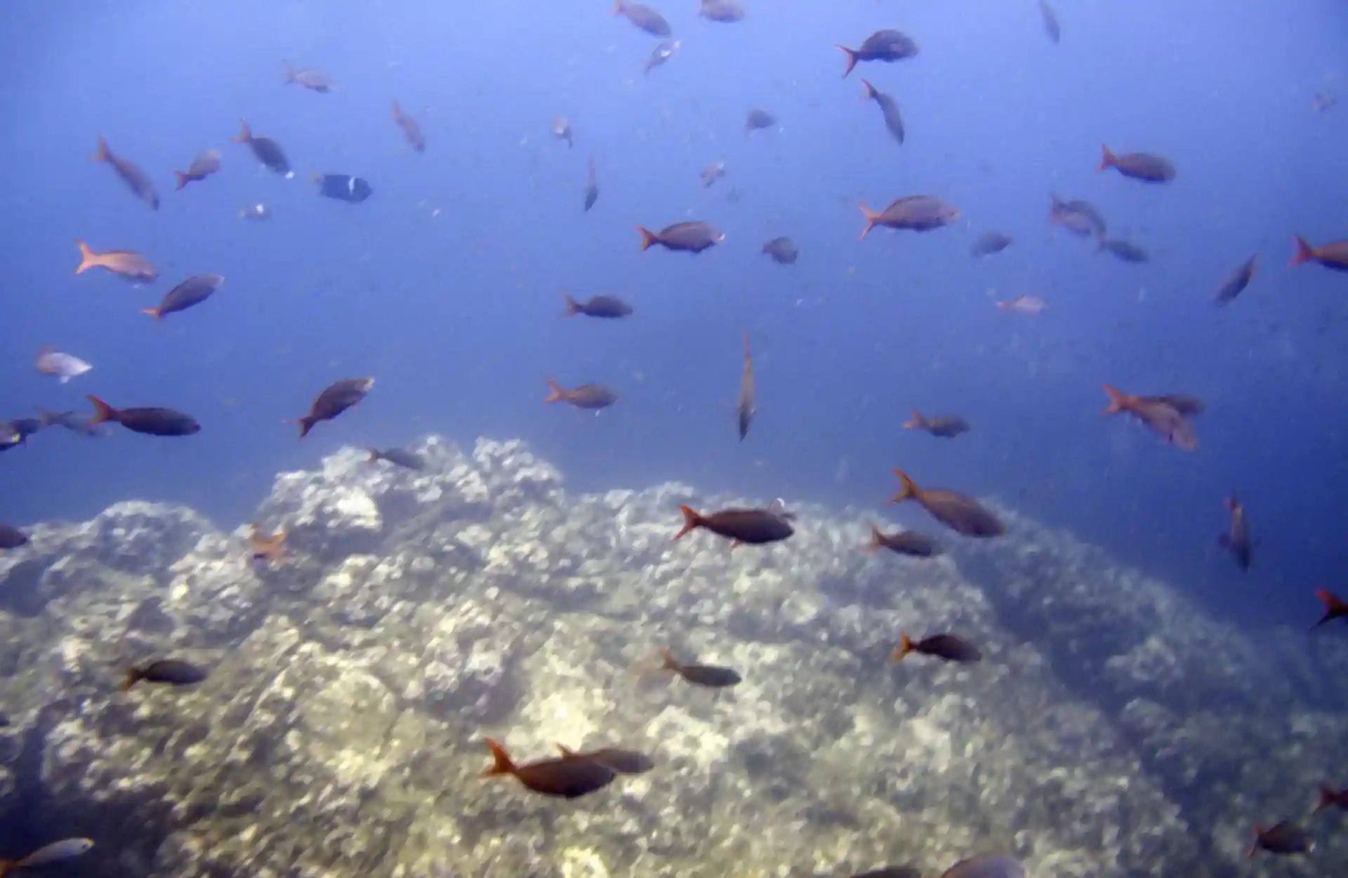 다이빙 포인트 사진