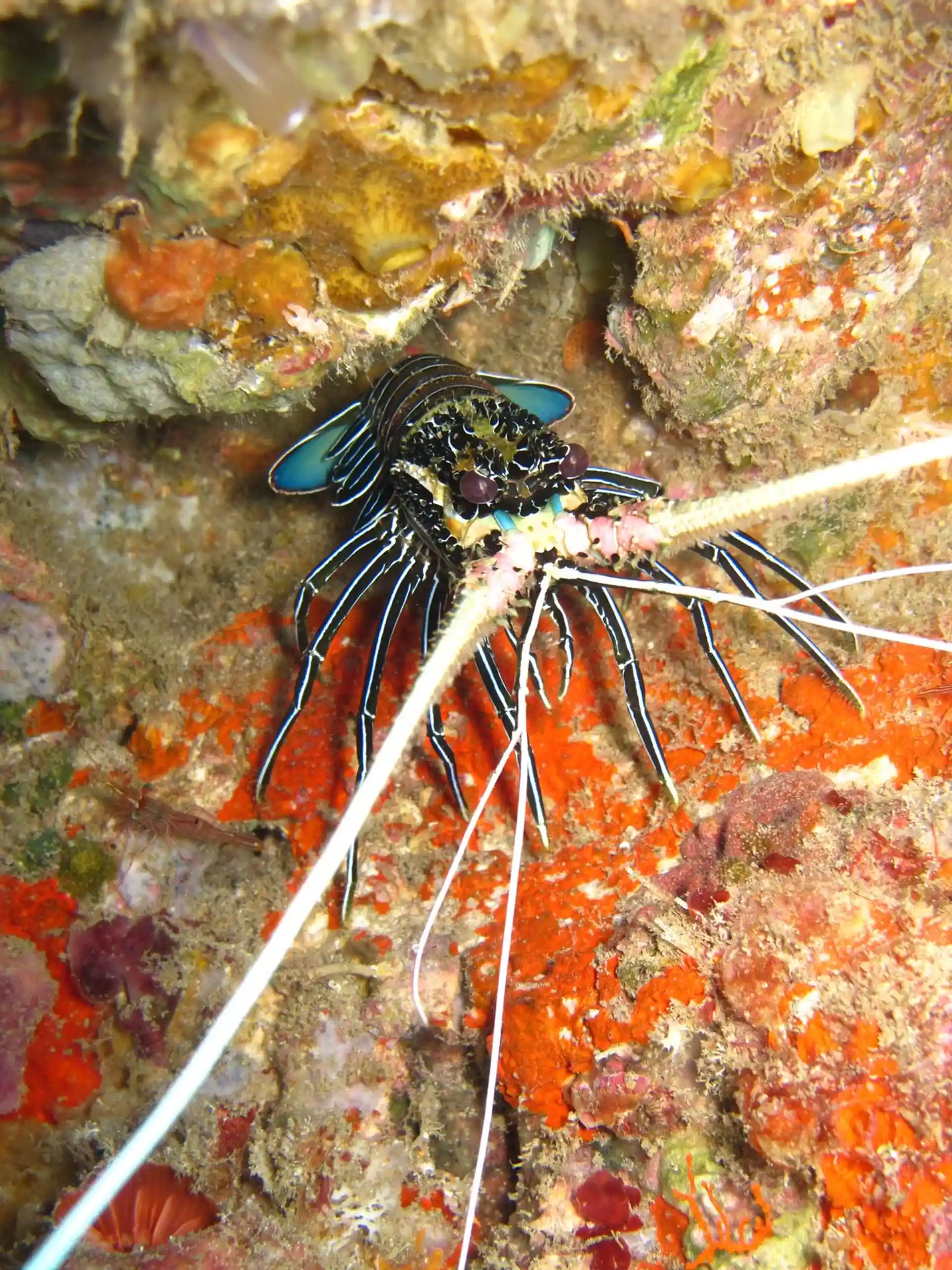 Dive site photo