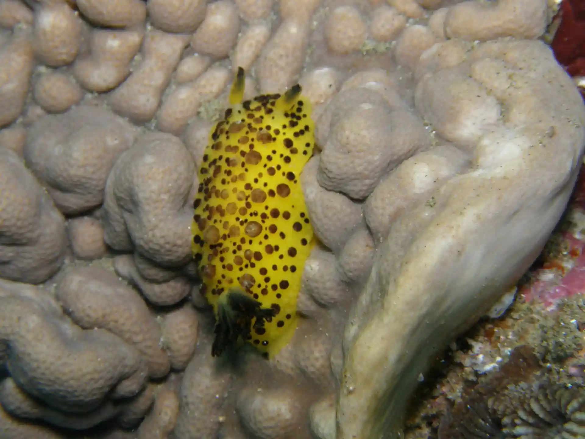 Dive site photo