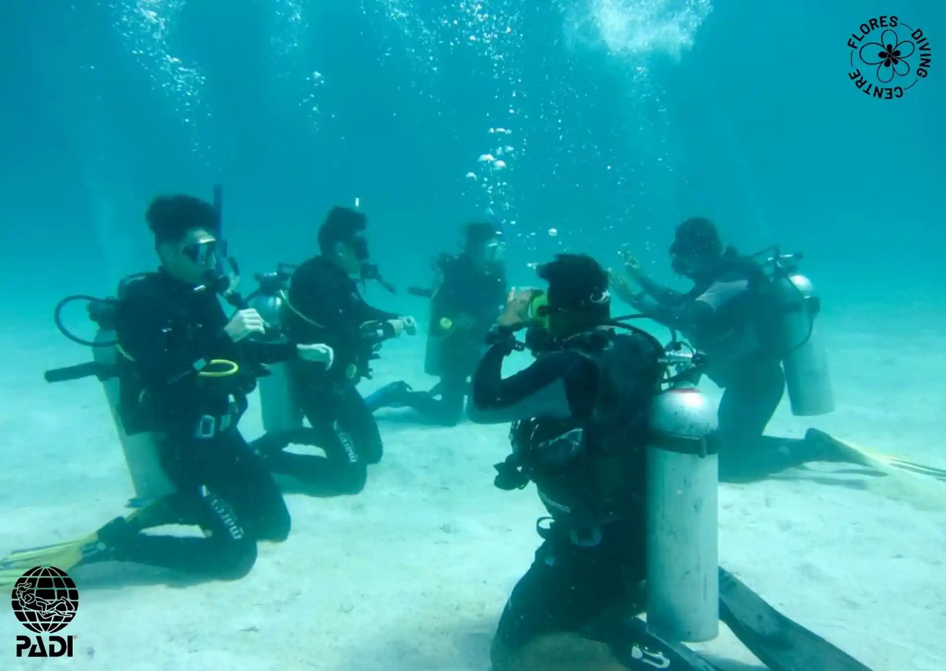 Foto de la actividad