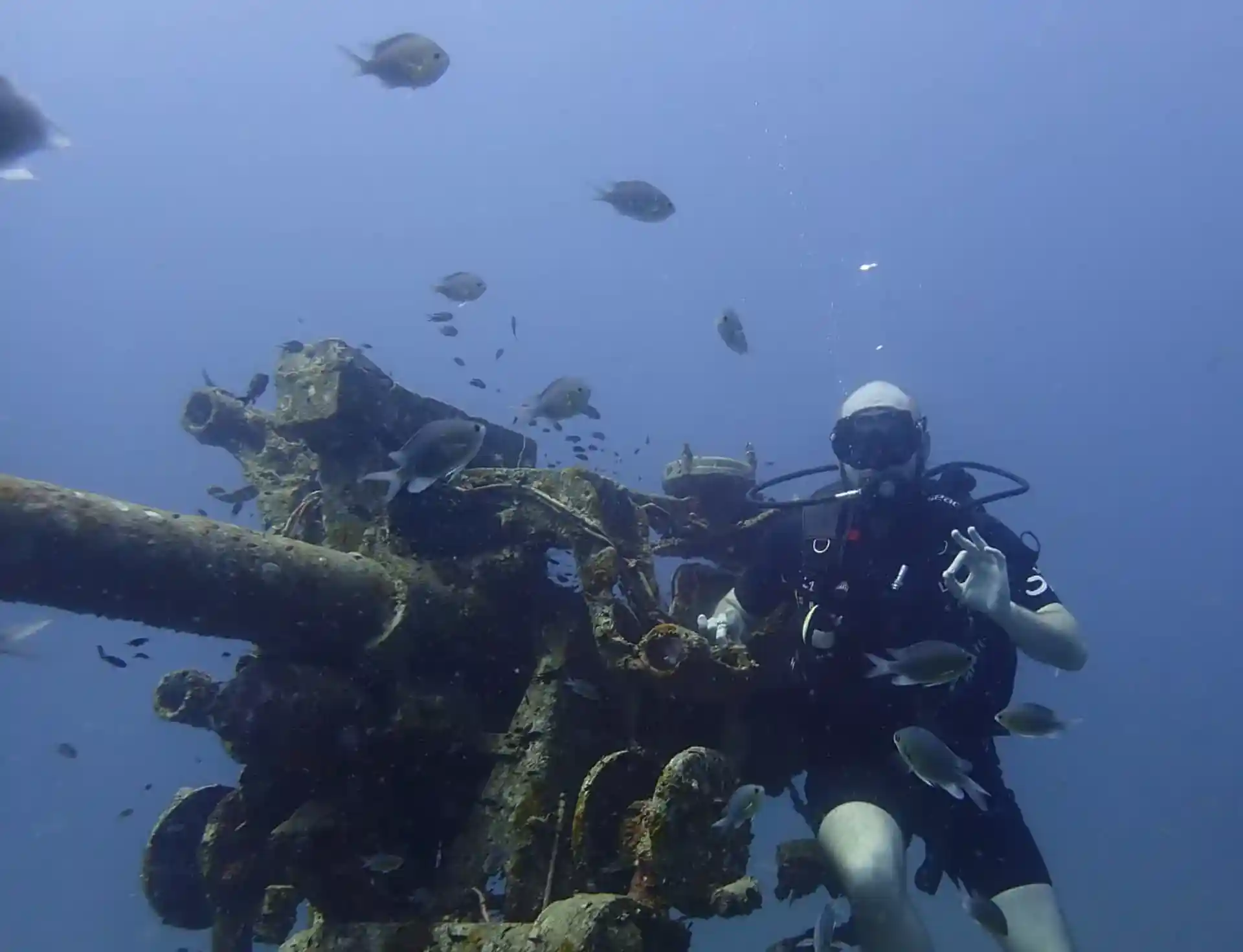 ダイビングサイトの写真