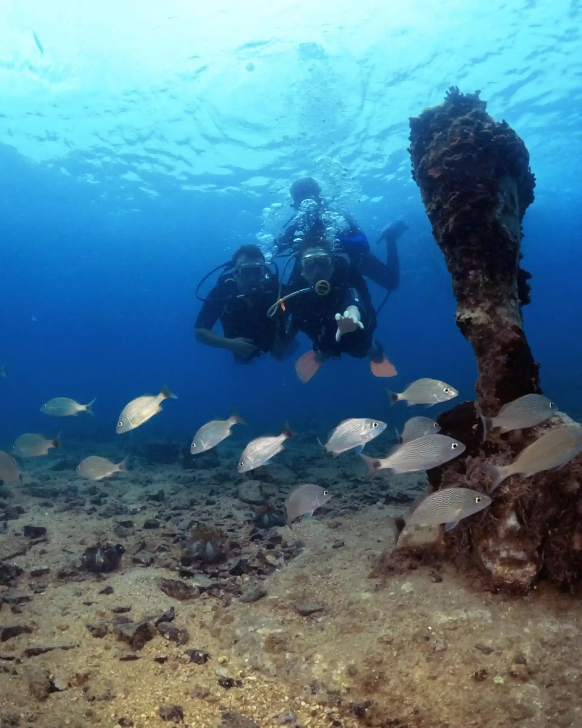 Foto del sitio de buceo