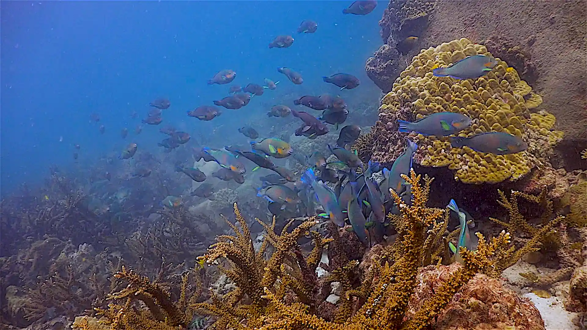 ダイビングサイトの写真