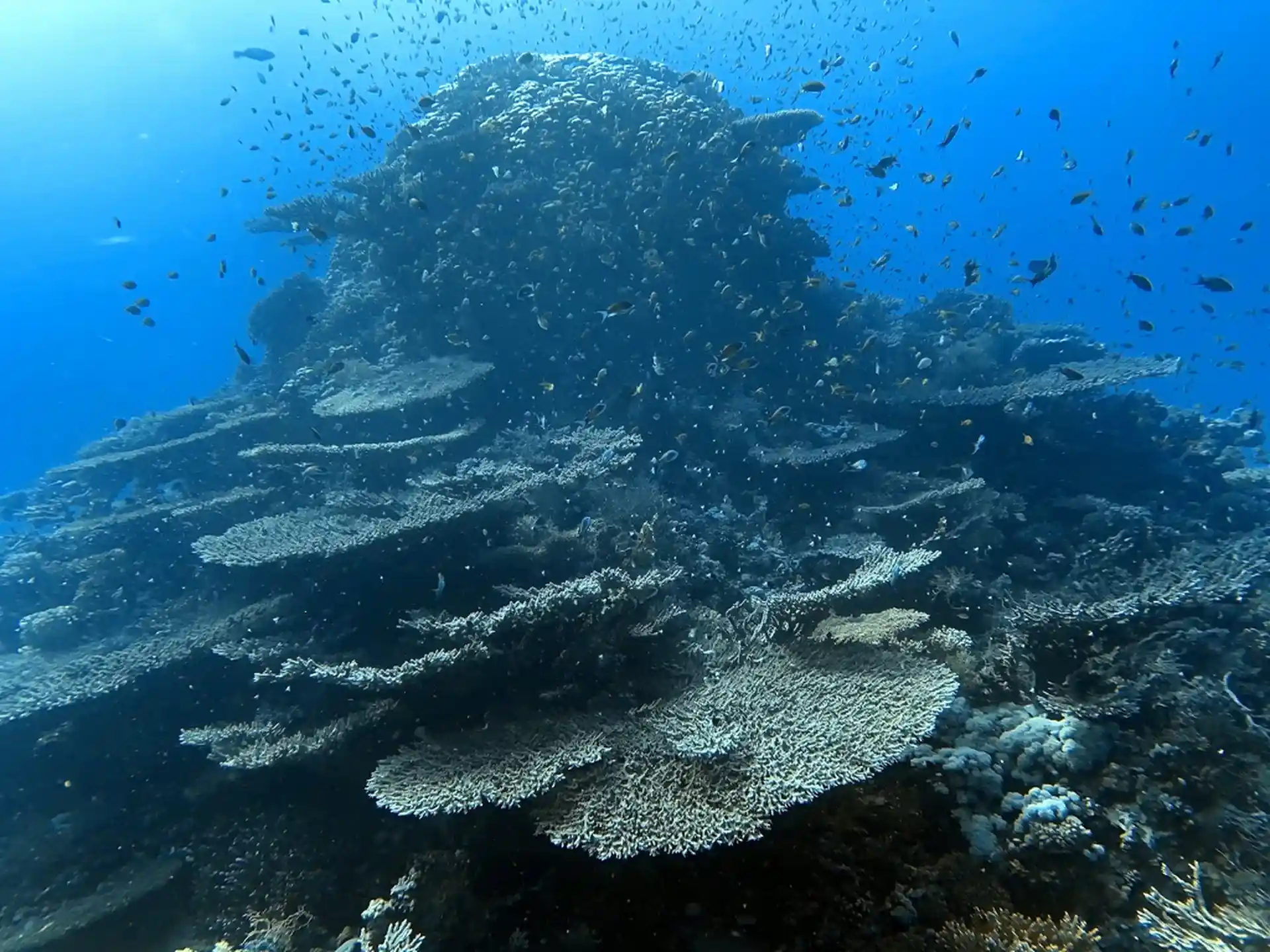 Foto des Tauchplatzes