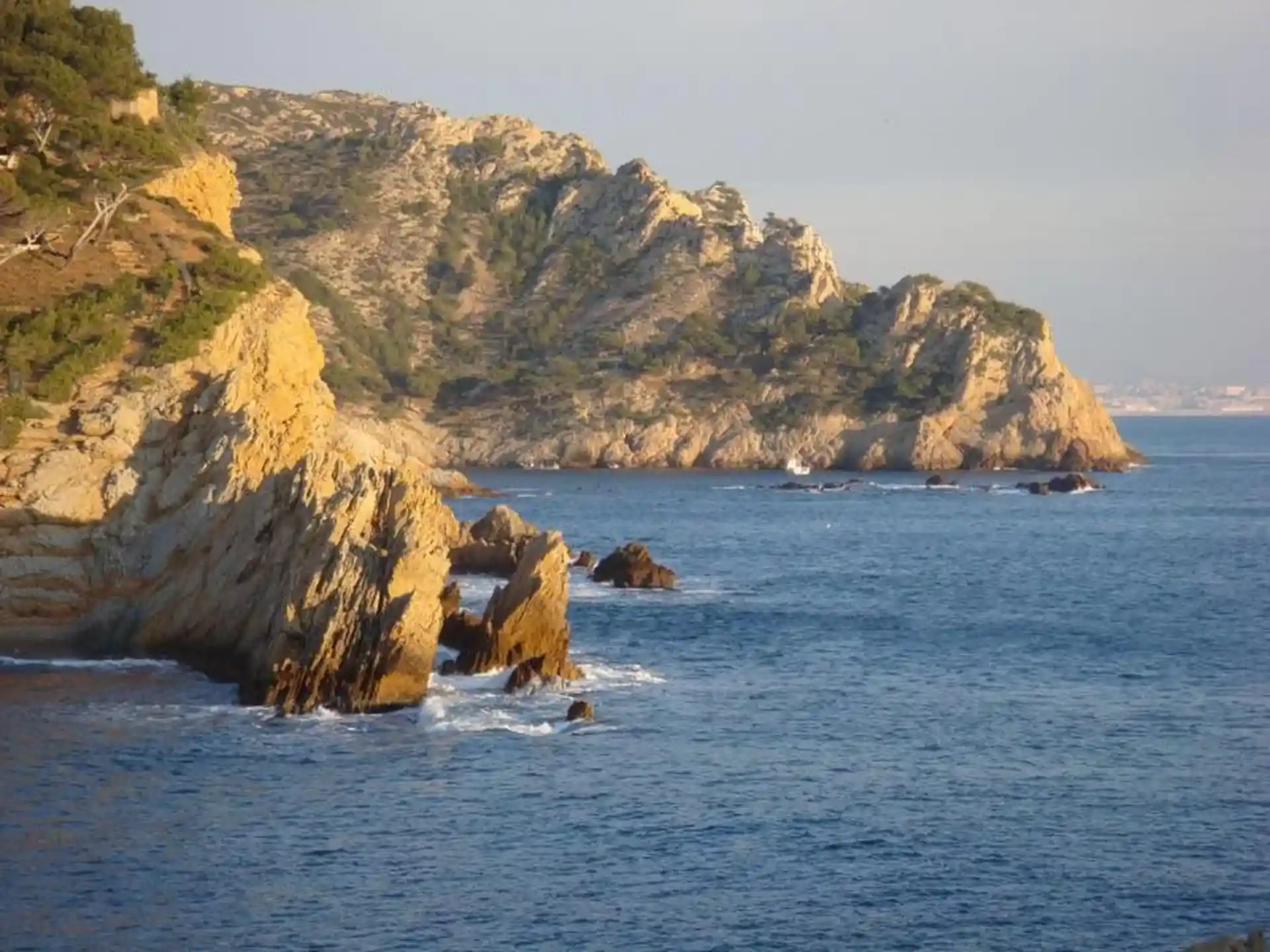 Photo du site de plongée