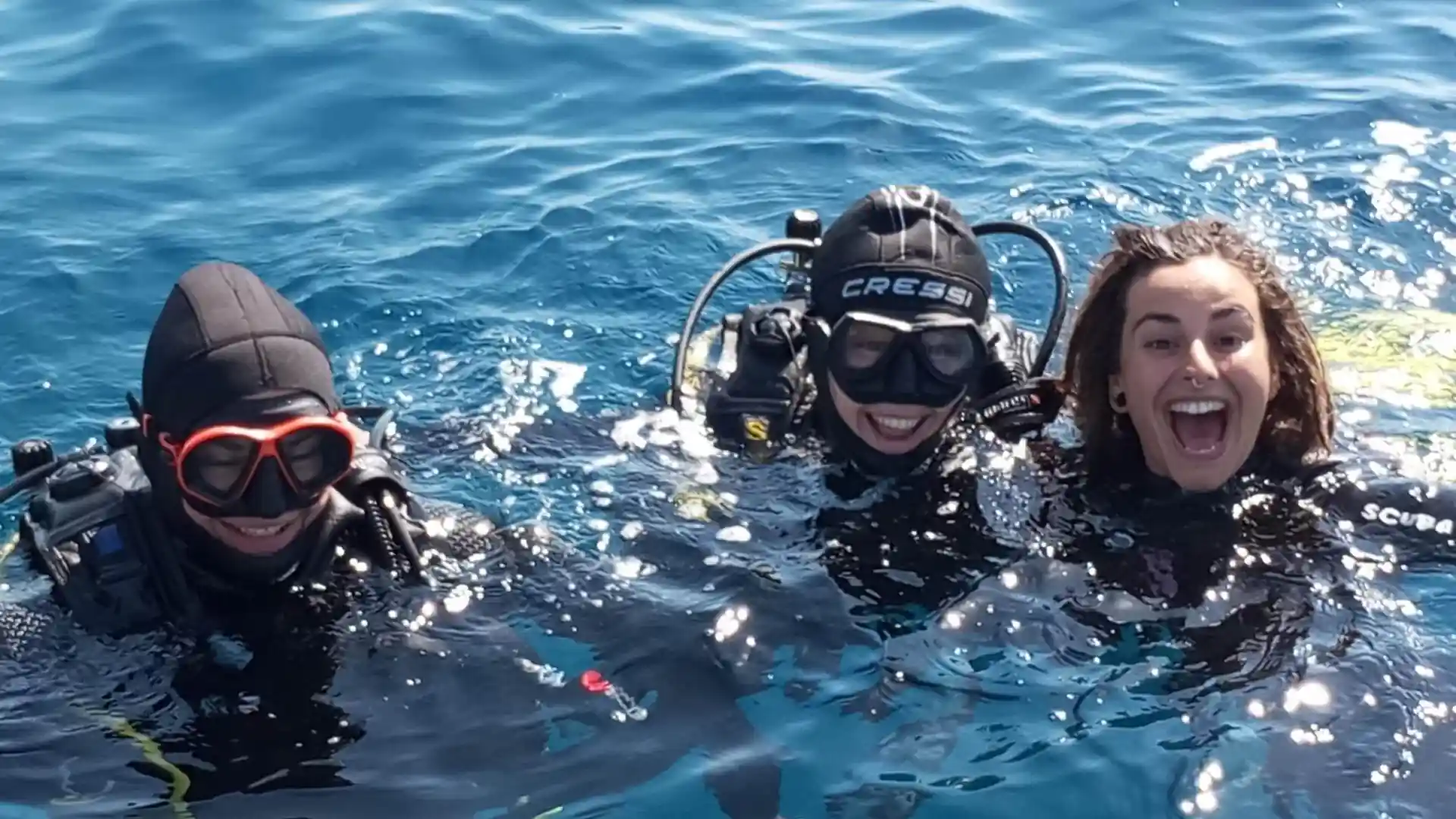 Dive shop photo